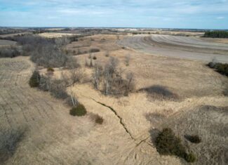 Clarke County 158 +/- Acres Hunting & Income Farm