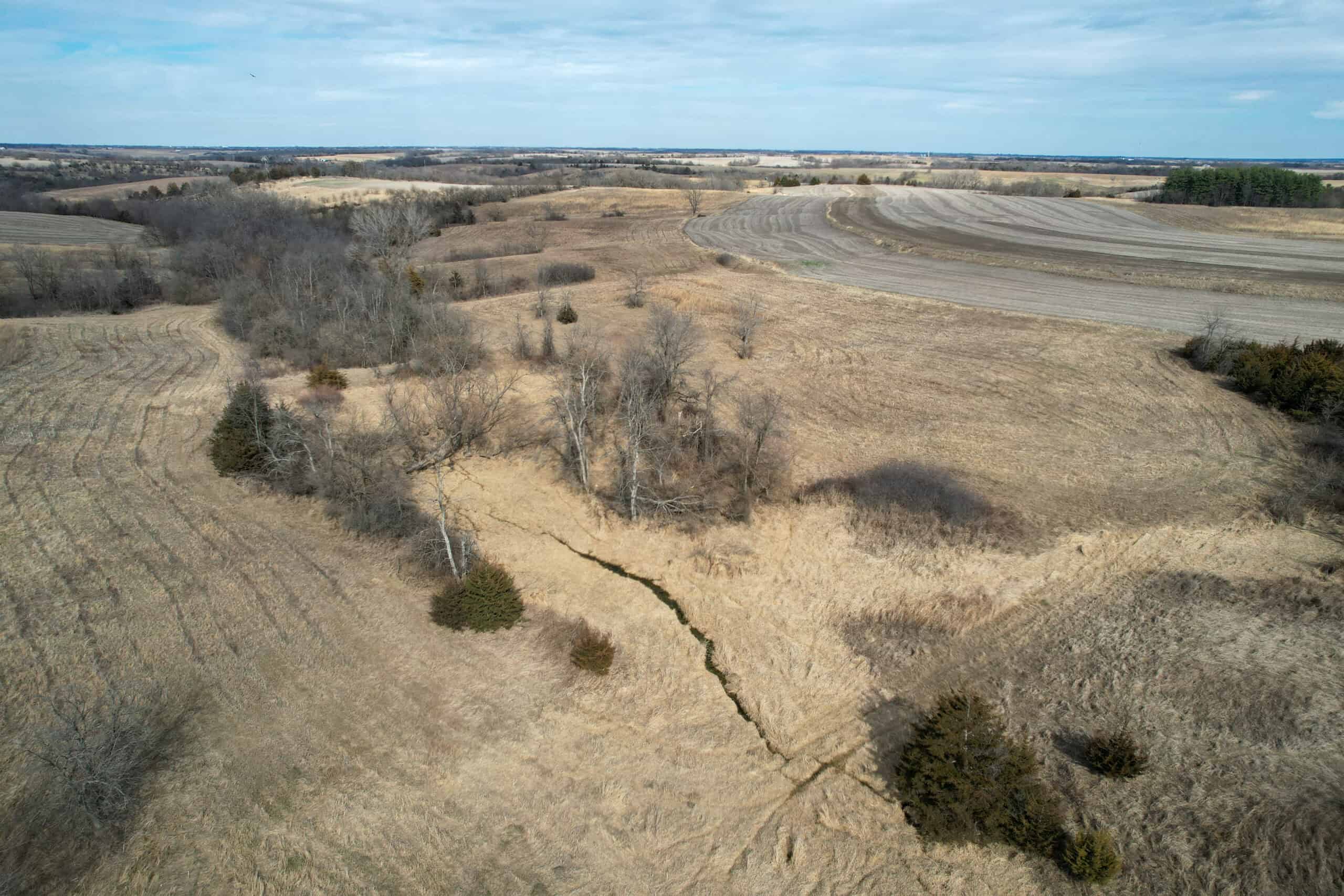 Clarke County 158 +/- Acres Hunting & Income Farm