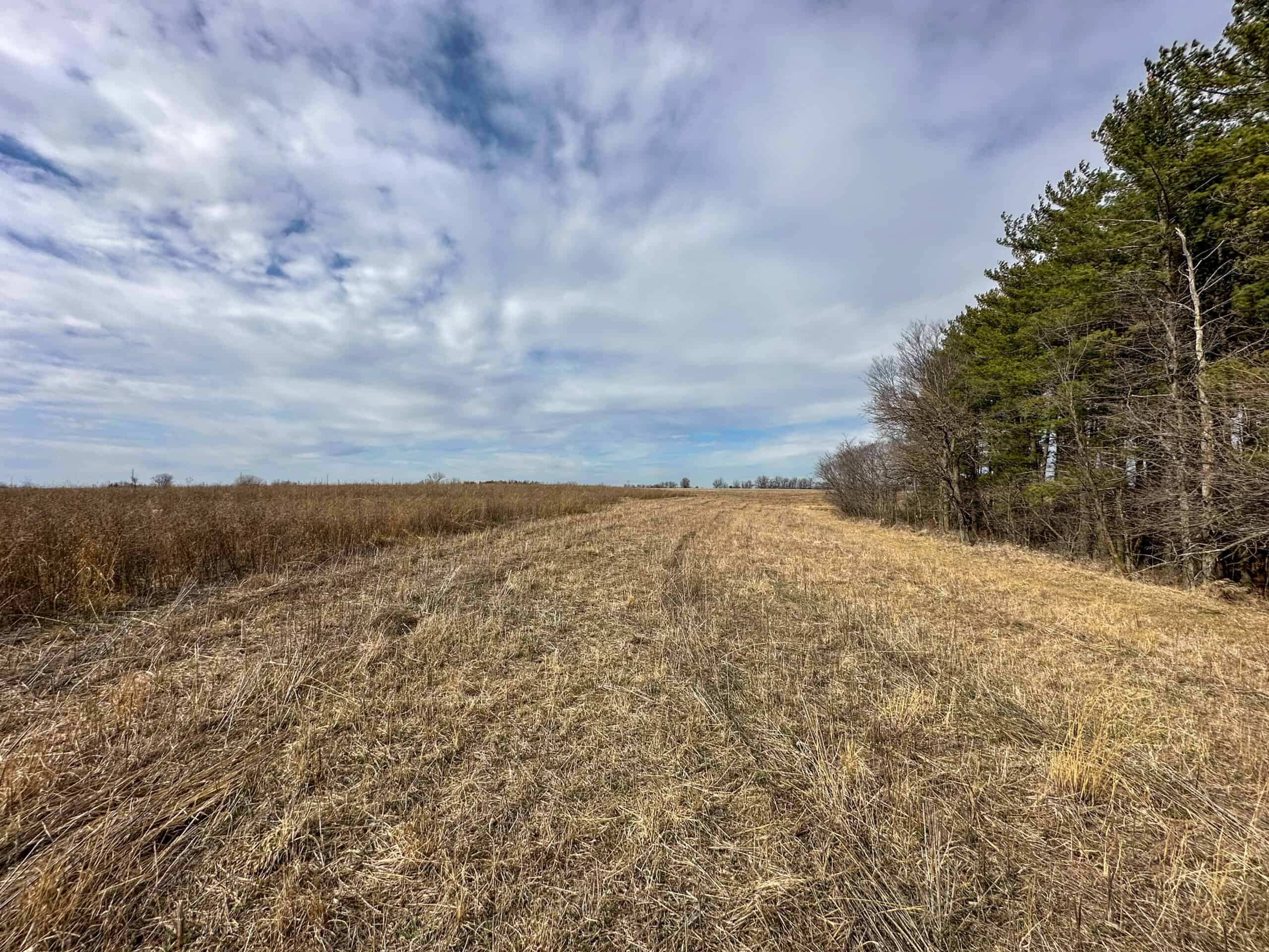 Clarke County 158 +/- Acres Hunting & Income Farm