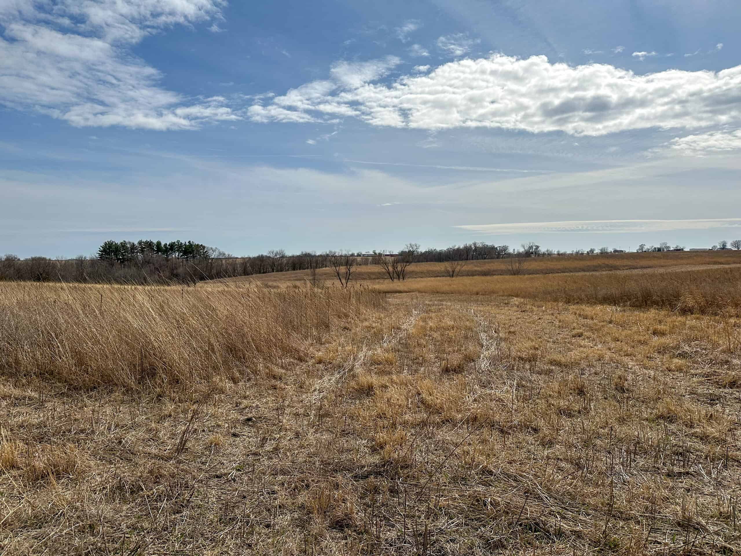 Clarke County 158 +/- Acres Hunting & Income Farm