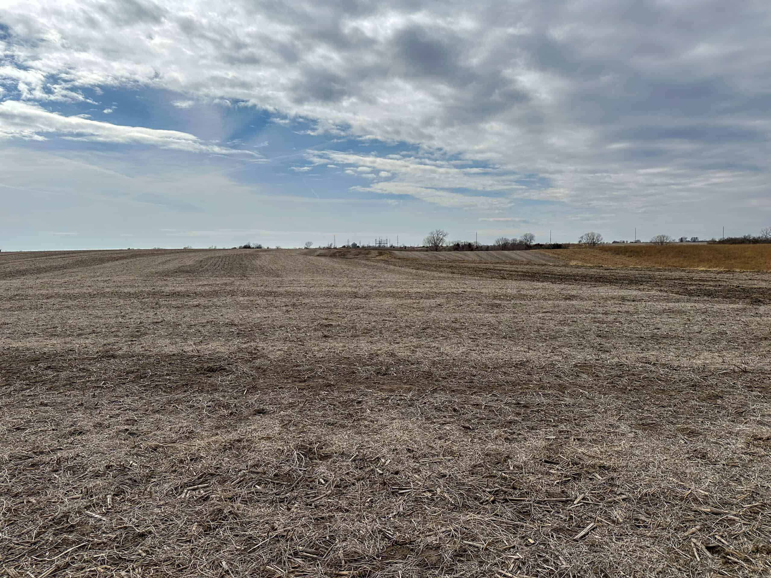 Clarke County 158 +/- Acres Hunting & Income Farm