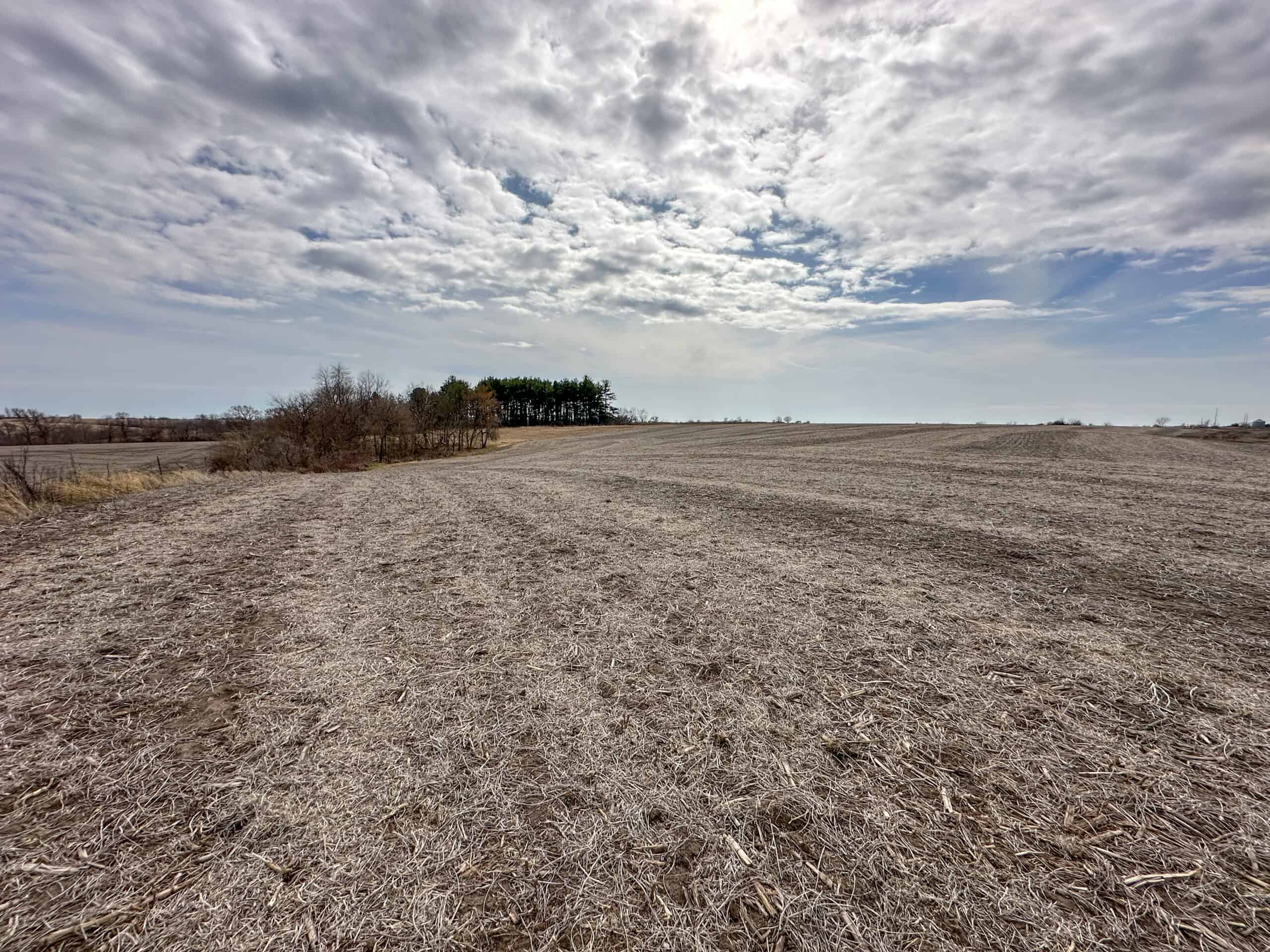Clarke County 158 +/- Acres Hunting & Income Farm