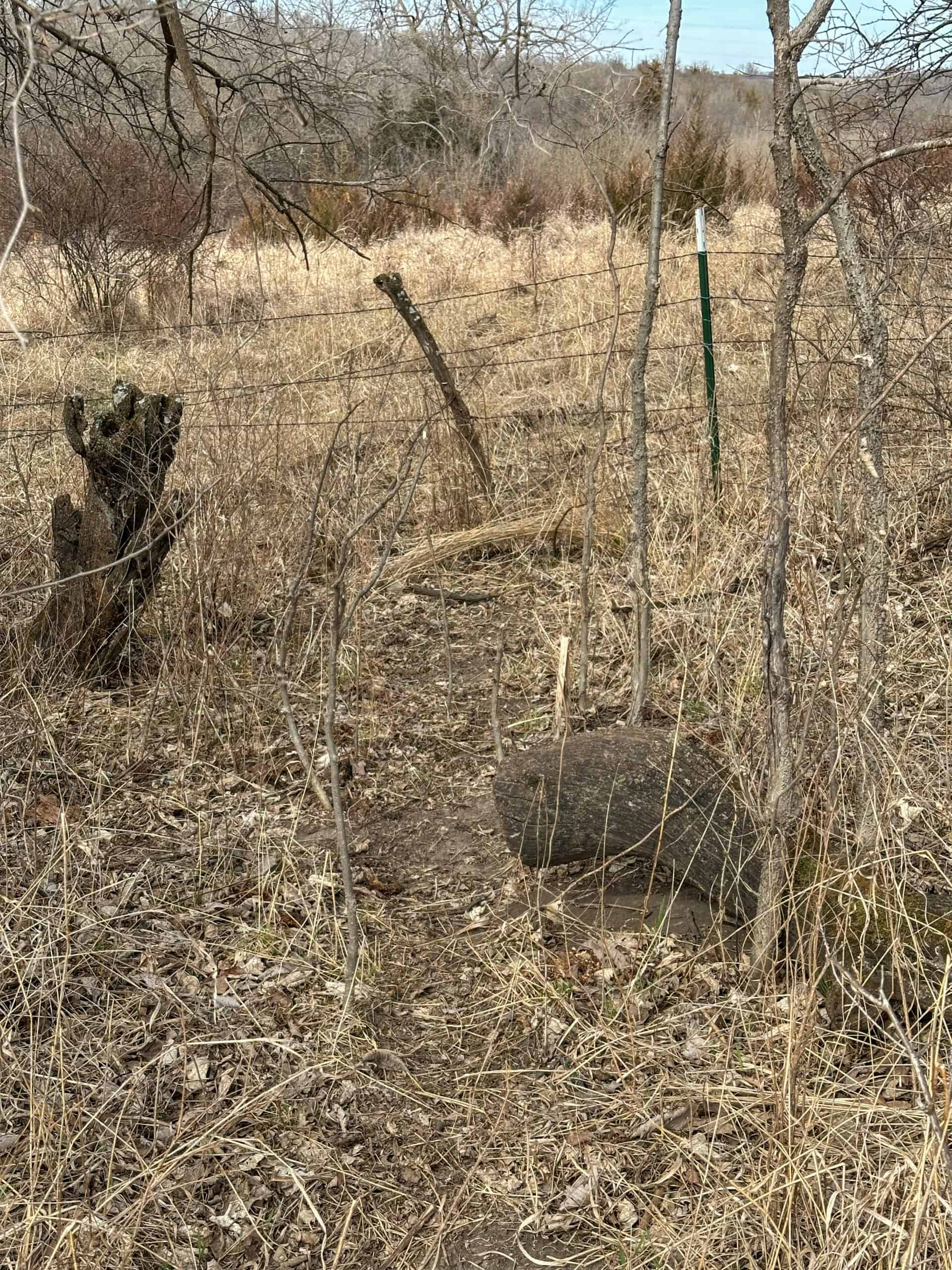 Clarke County 158 +/- Acres Hunting & Income Farm