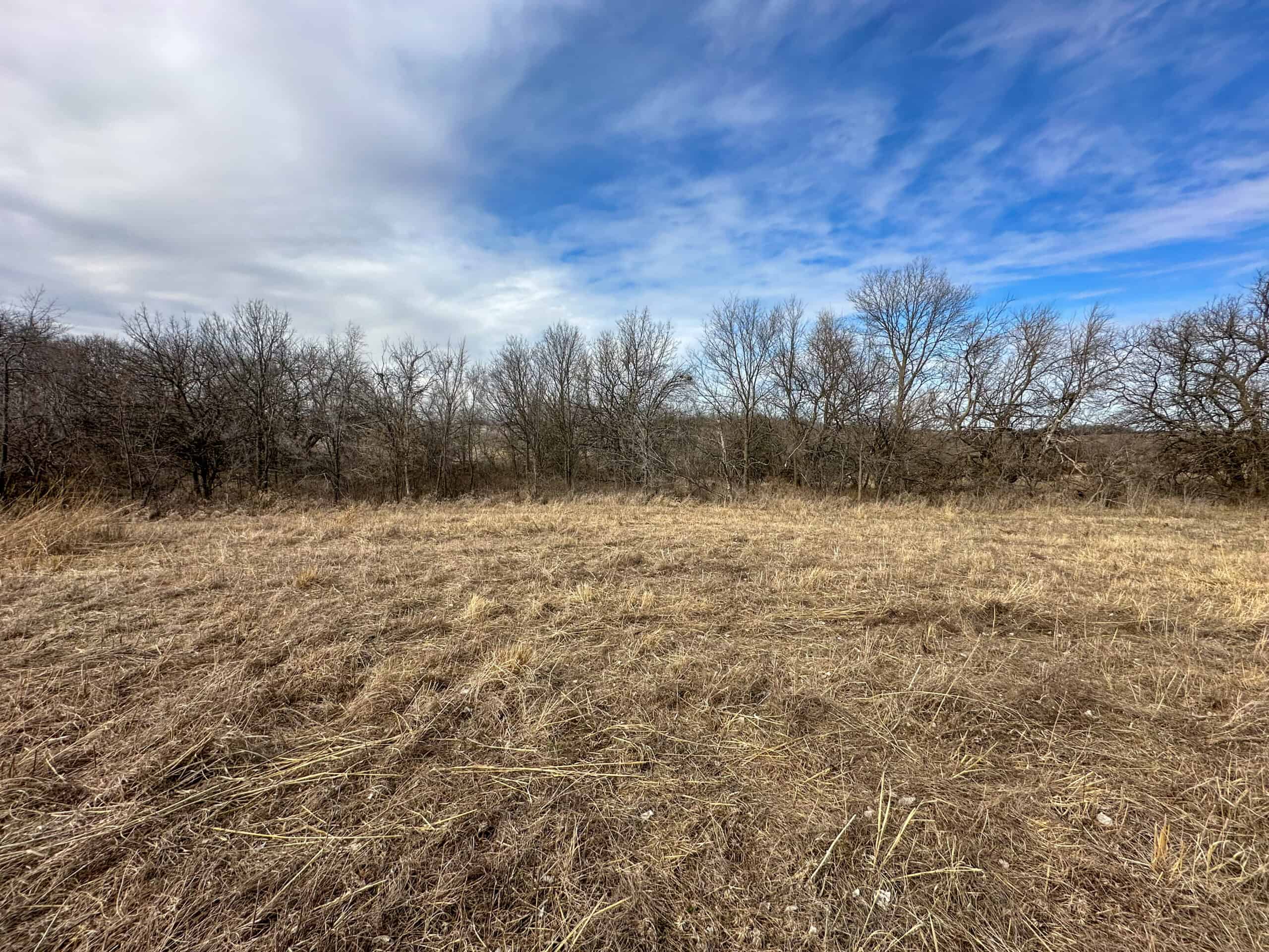 Clarke County 158 +/- Acres Hunting & Income Farm