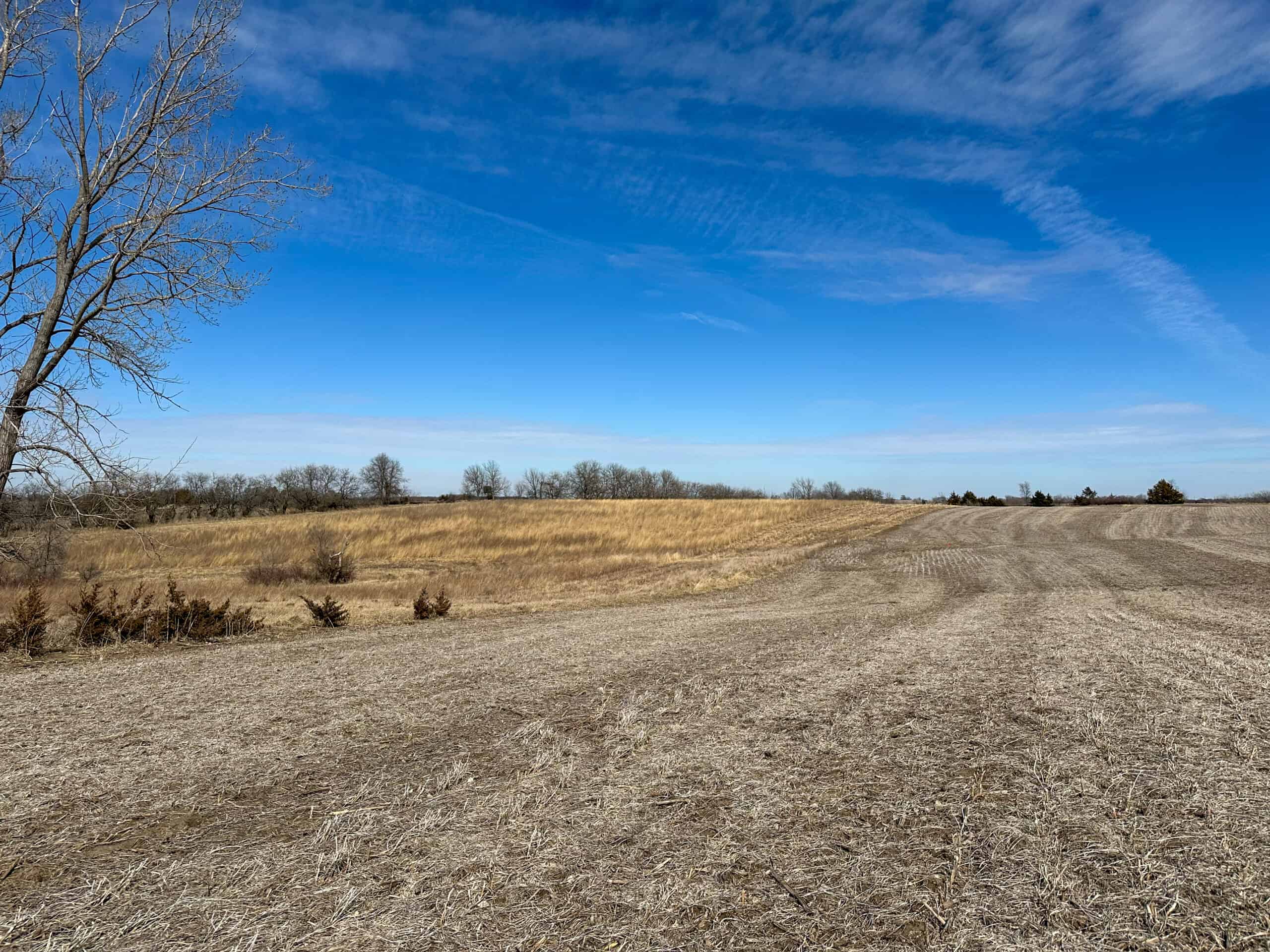 Clarke County 158 +/- Acres Hunting & Income Farm