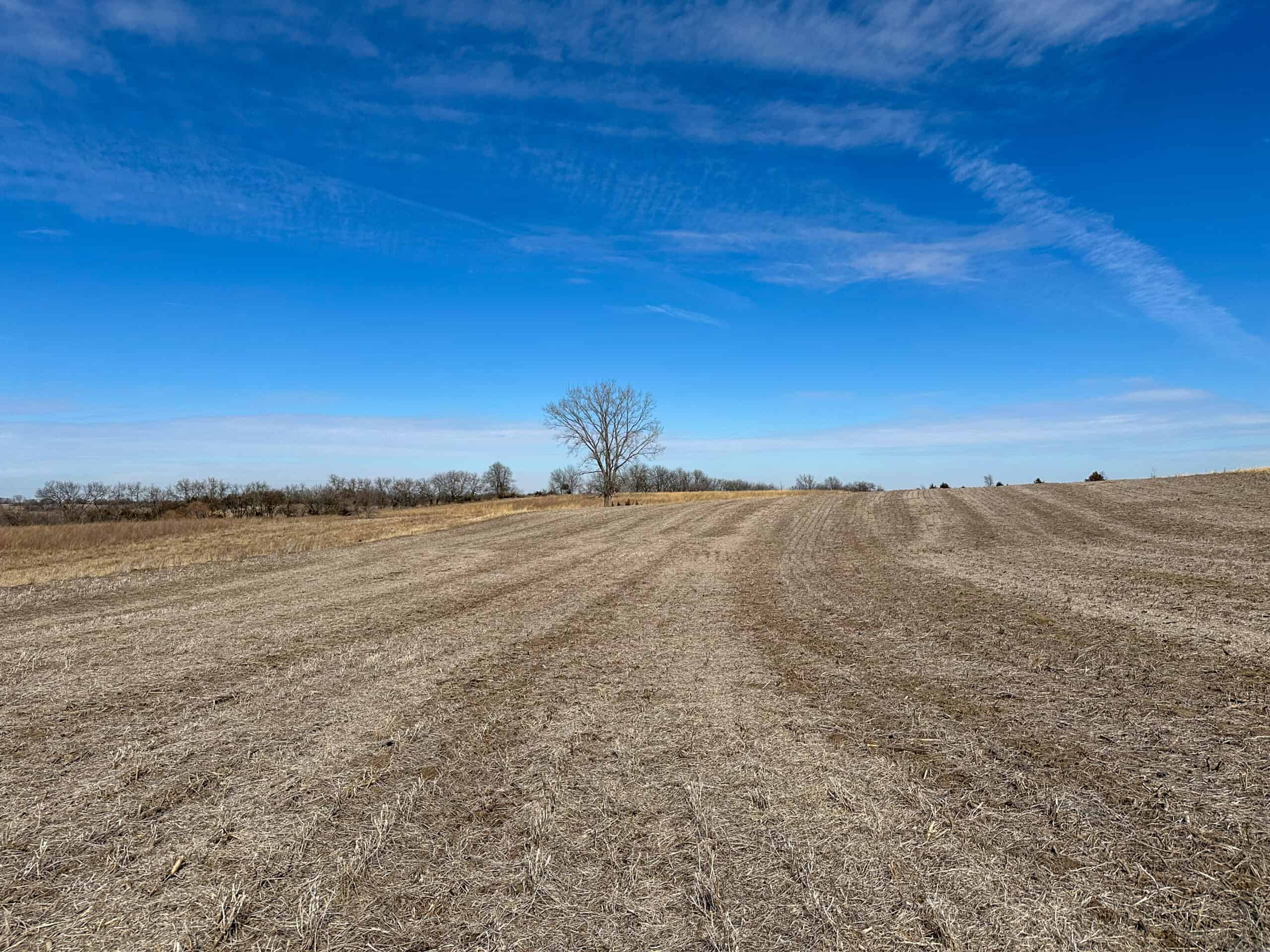 Clarke County 158 +/- Acres Hunting & Income Farm