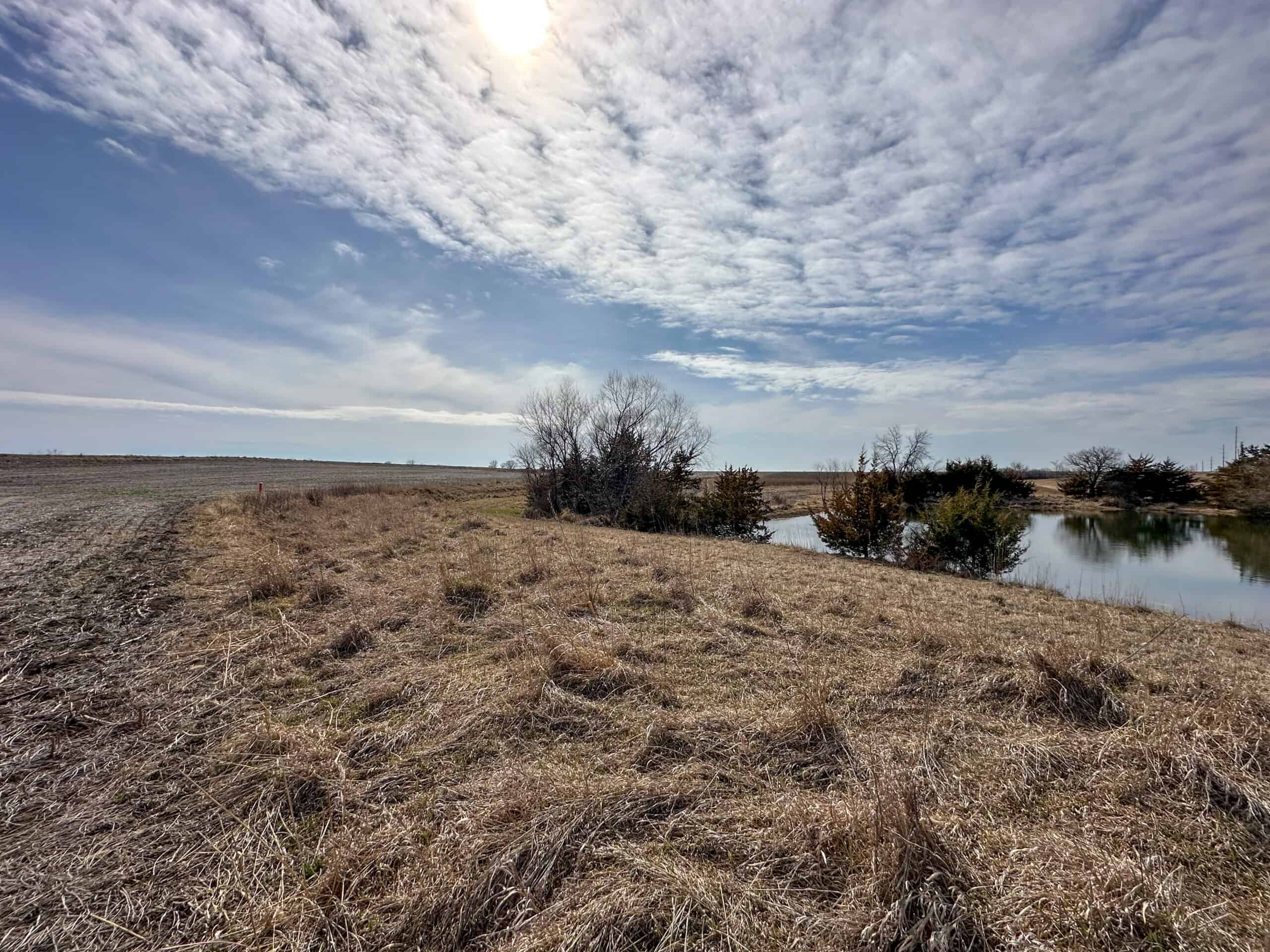 Clarke County 158 +/- Acres Hunting & Income Farm