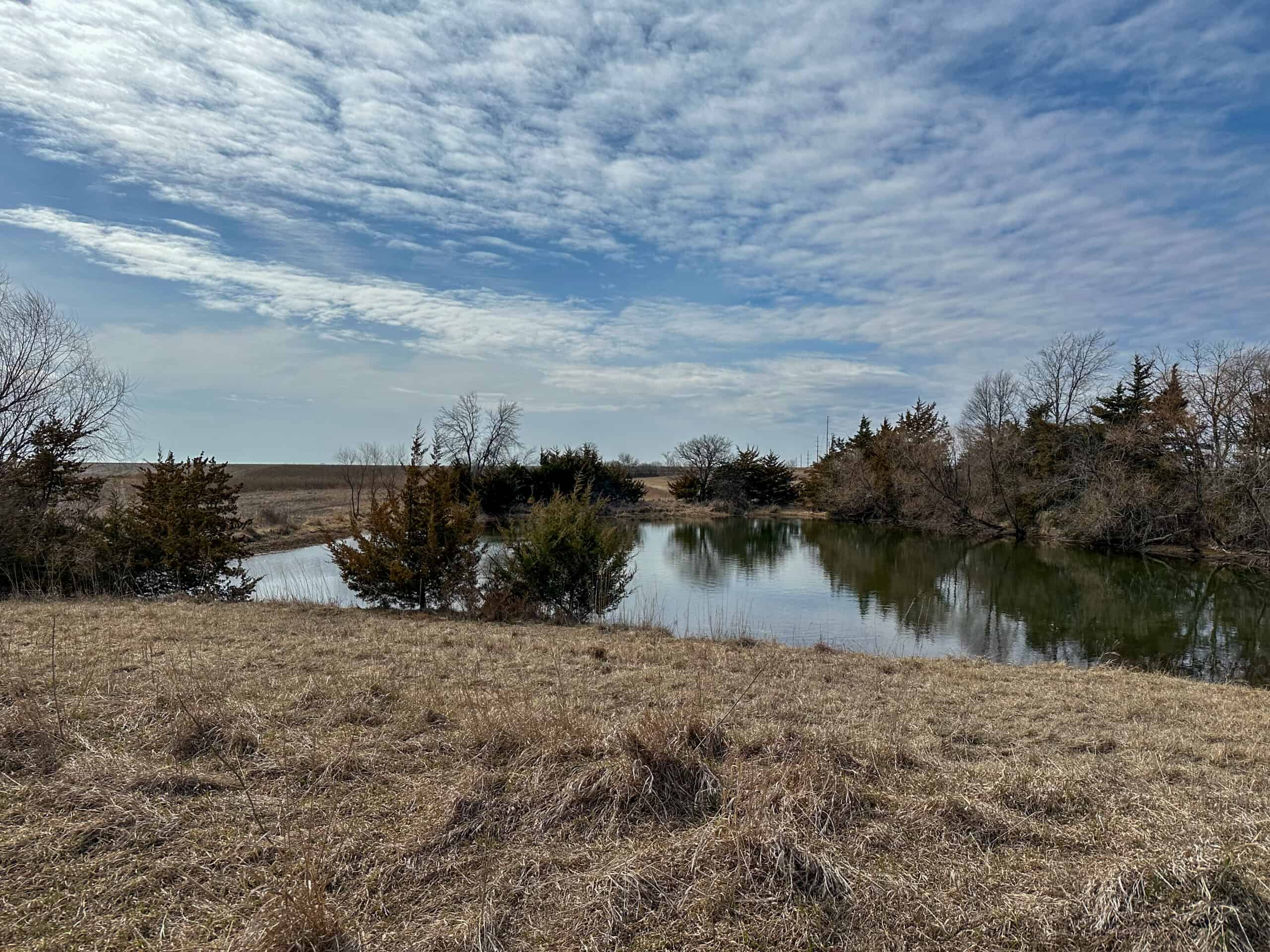 Clarke County 158 +/- Acres Hunting & Income Farm