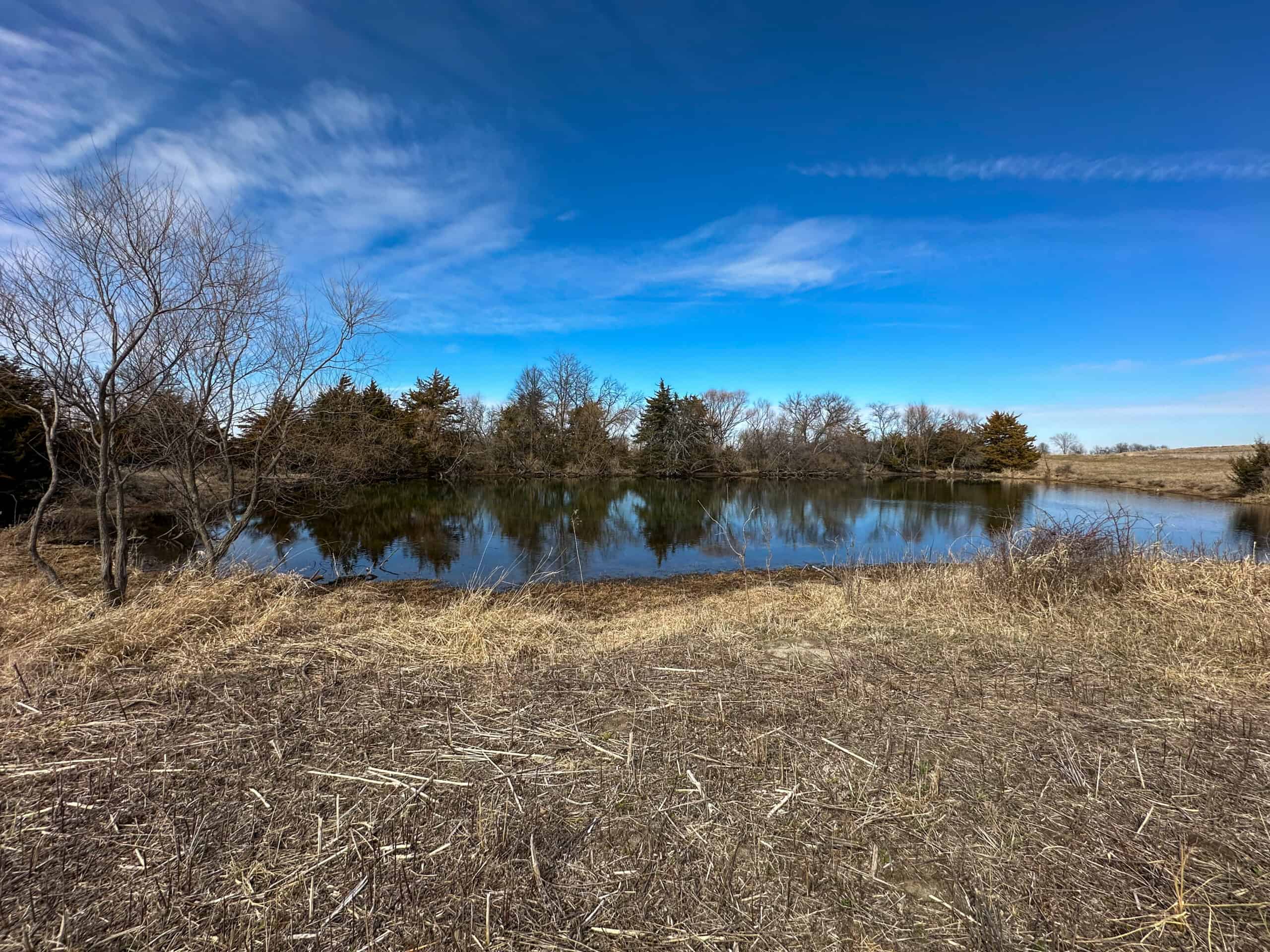 Clarke County 158 +/- Acres Hunting & Income Farm