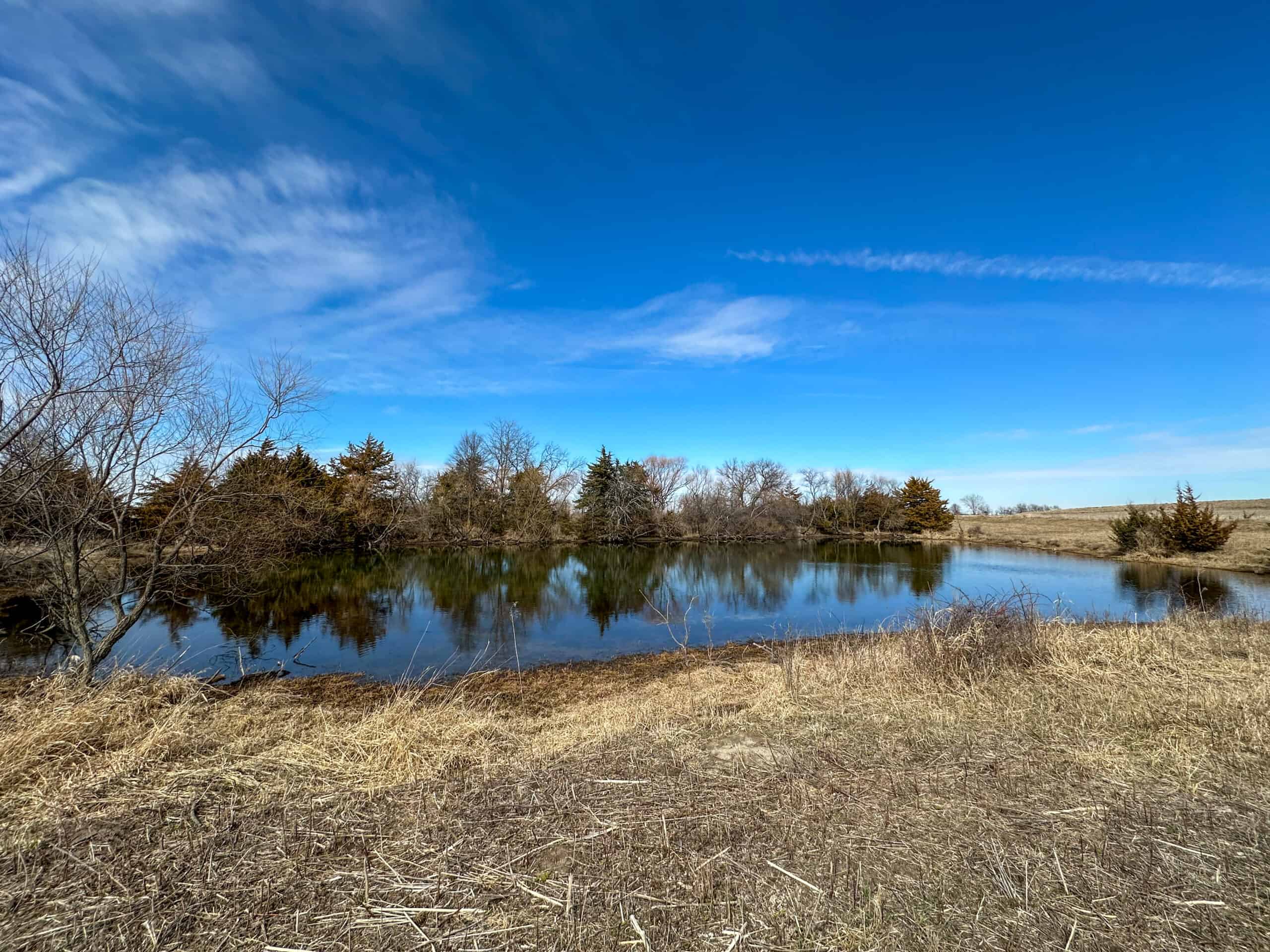 Clarke County 158 +/- Acres Hunting & Income Farm