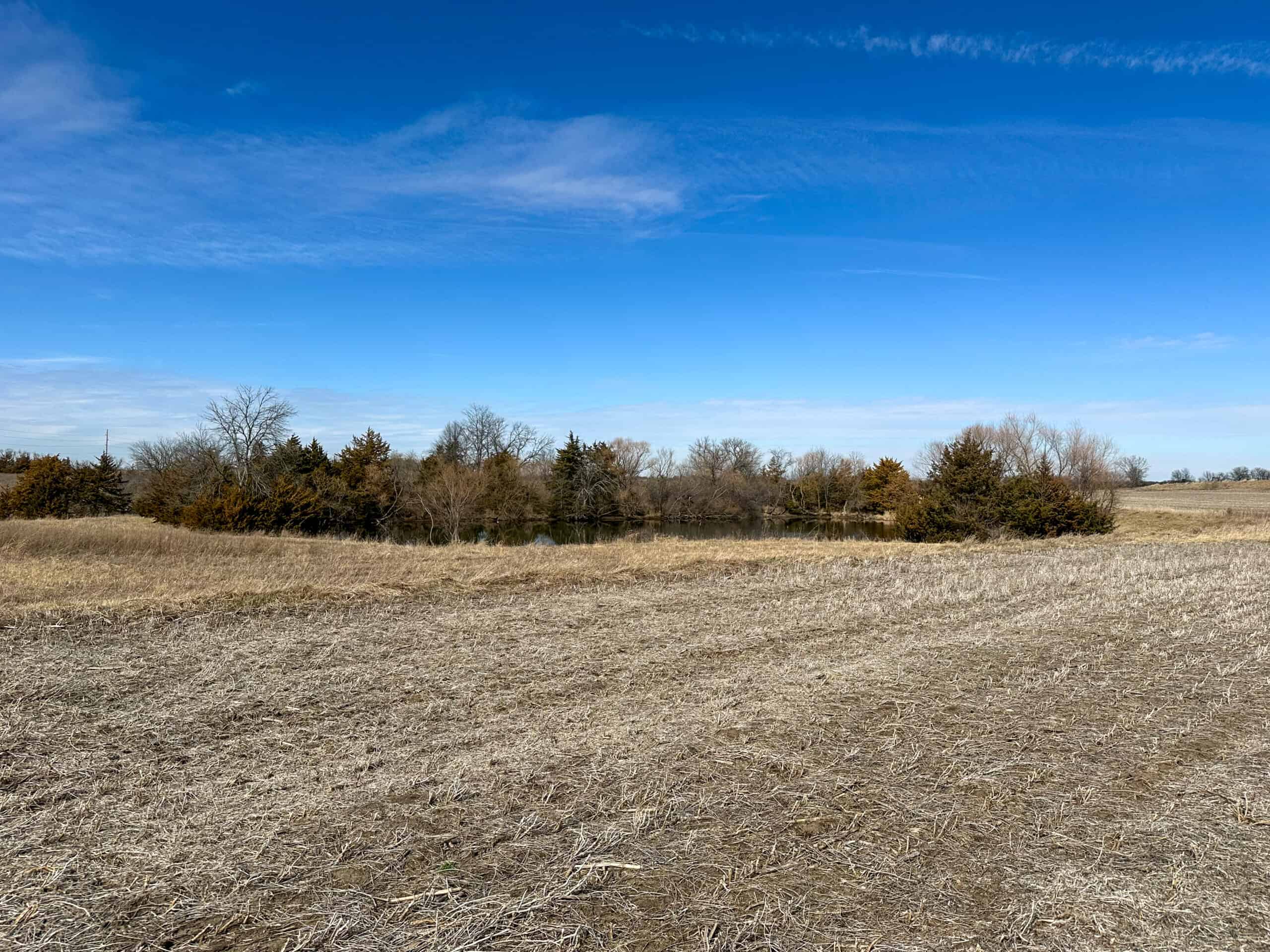 Clarke County 158 +/- Acres Hunting & Income Farm