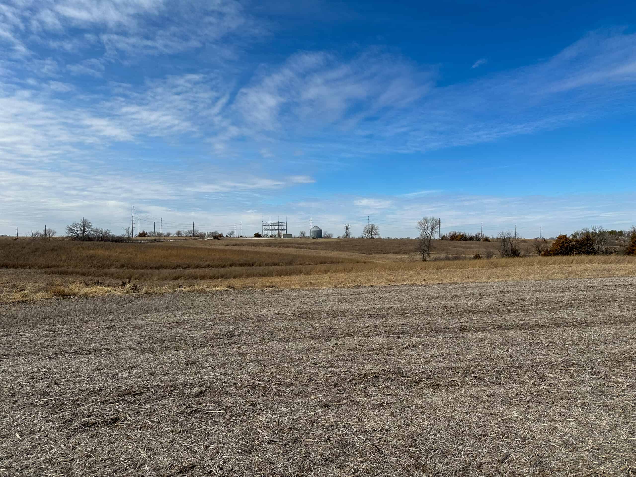 Clarke County 158 +/- Acres Hunting & Income Farm