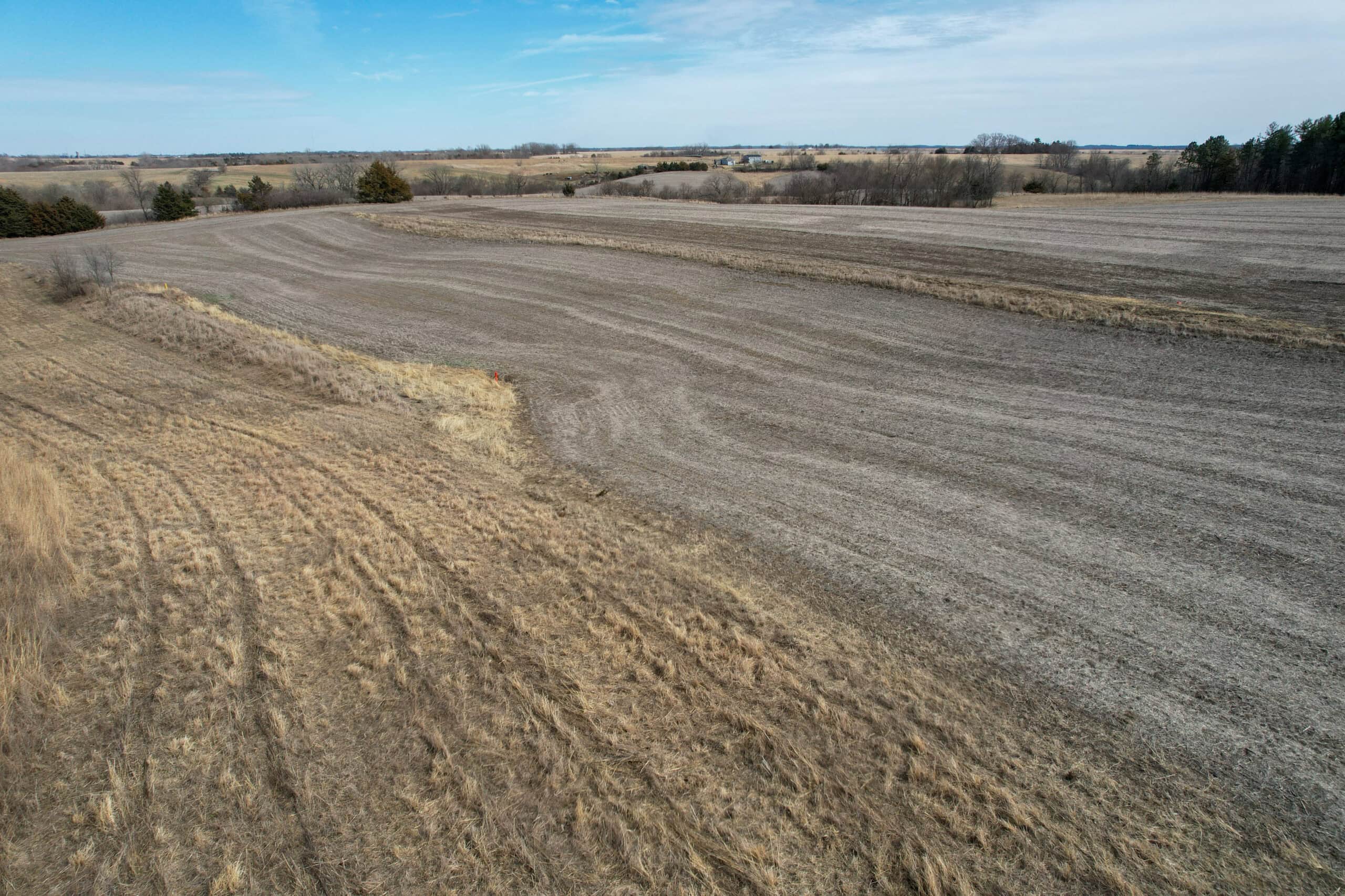 Clarke County 158 +/- Acres Hunting & Income Farm