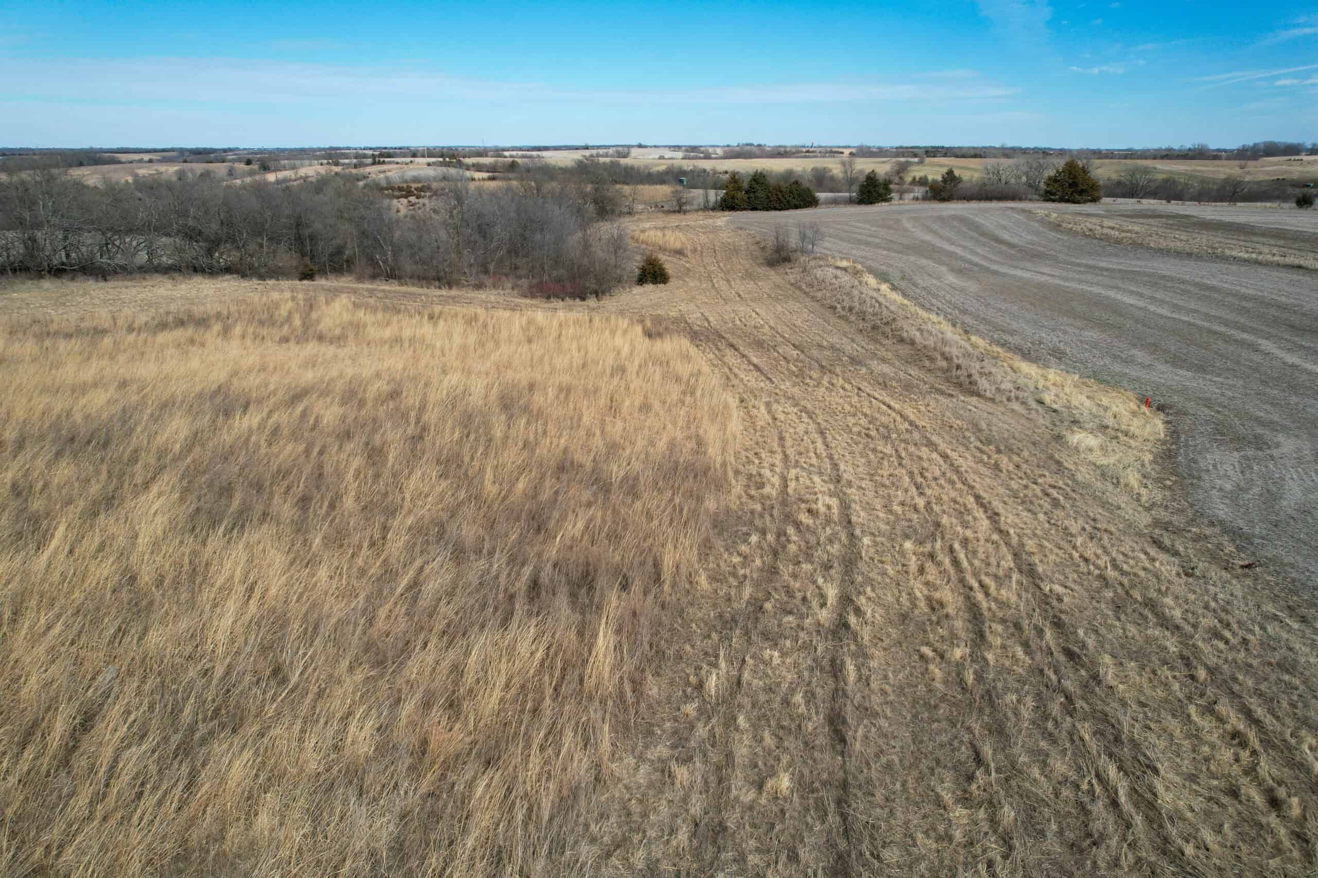 Clarke County 158 +/- Acres Hunting & Income Farm
