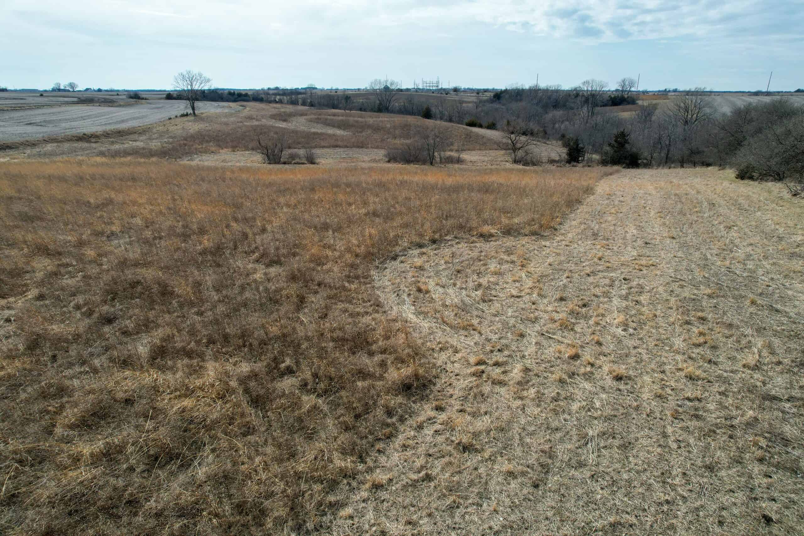 Clarke County 158 +/- Acres Hunting & Income Farm