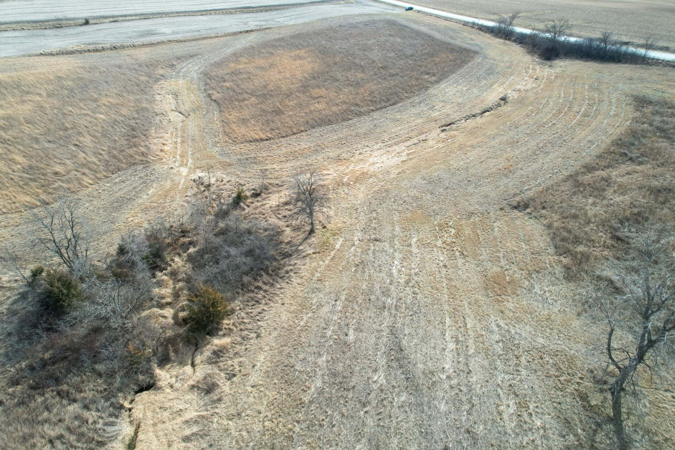 Clarke County 158 +/- Acres Hunting & Income Farm