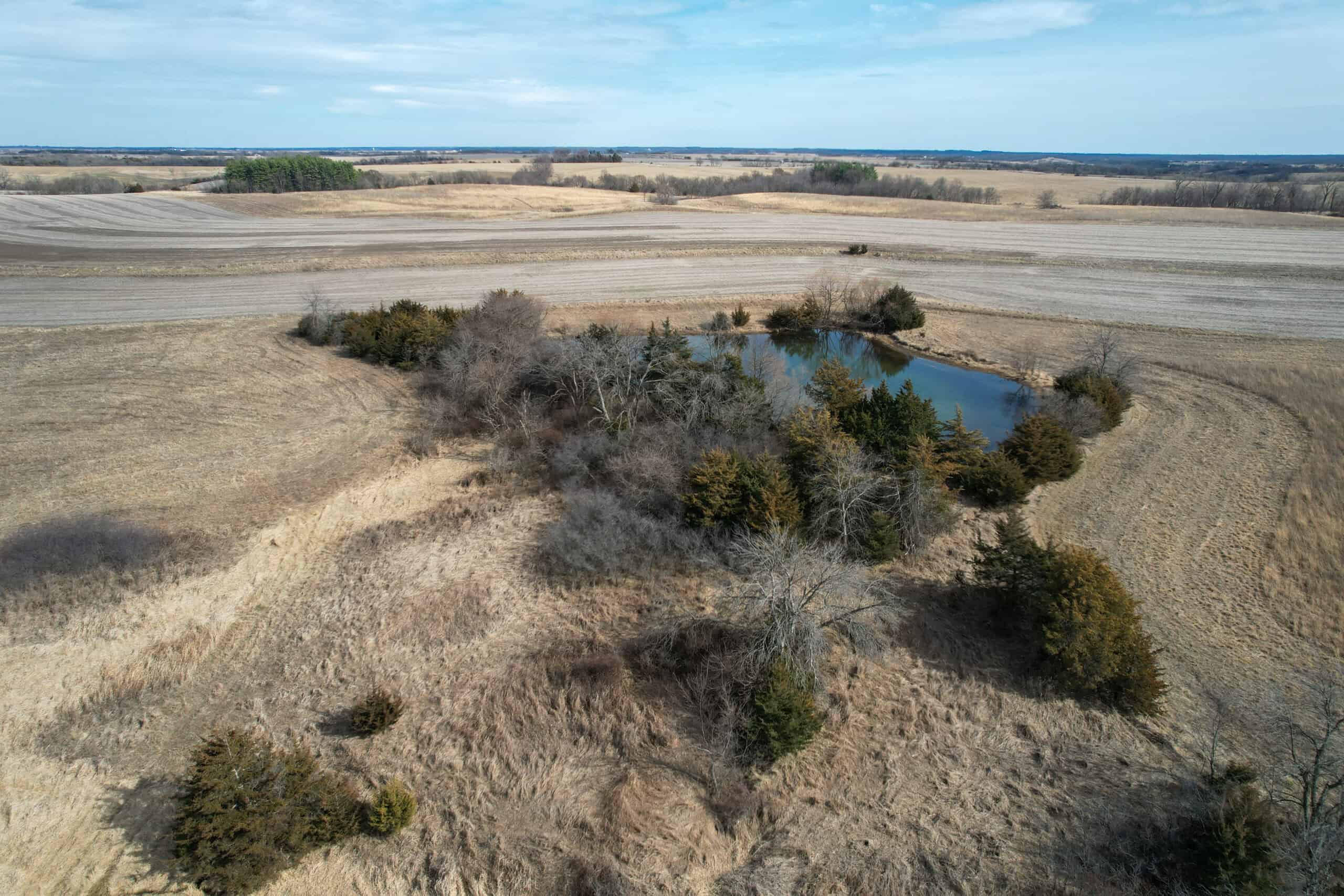 Clarke County 158 +/- Acres Hunting & Income Farm