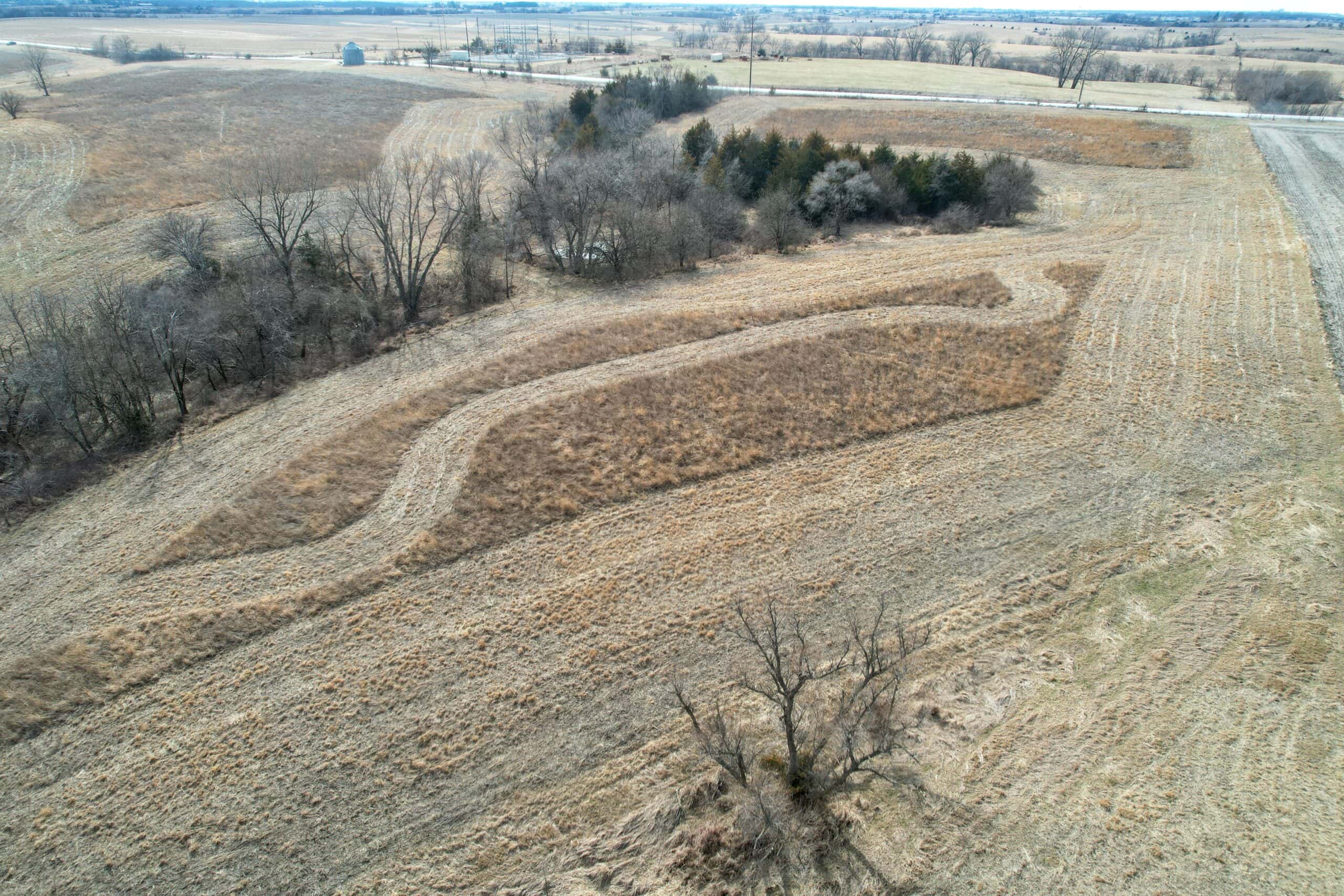 Clarke County 158 +/- Acres Hunting & Income Farm