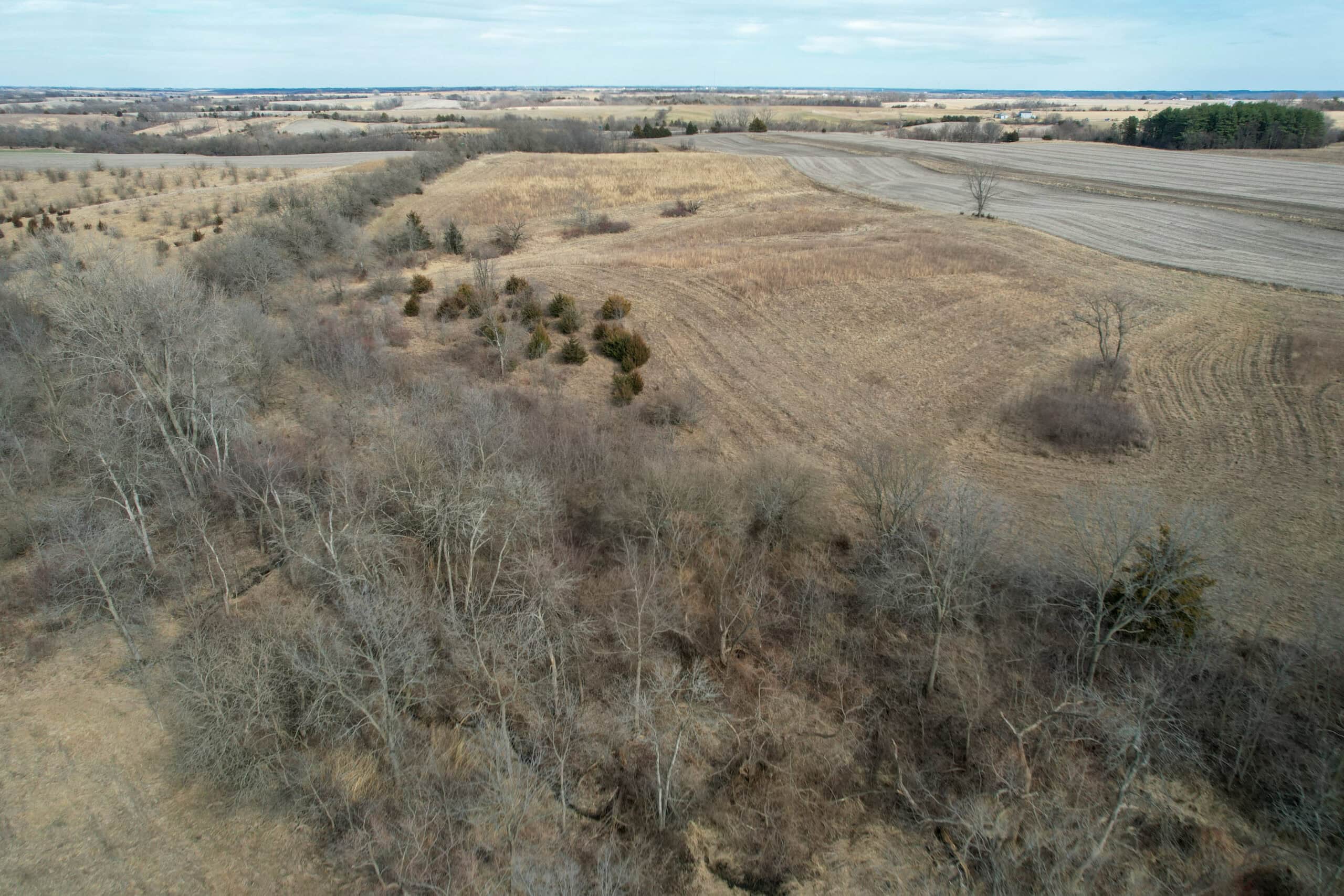 Clarke County 158 +/- Acres Hunting & Income Farm