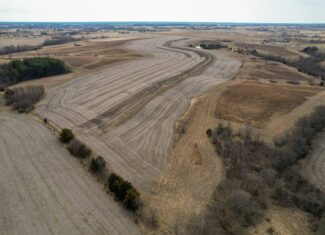 Clarke County 158 +/- Acres Hunting & Income Farm