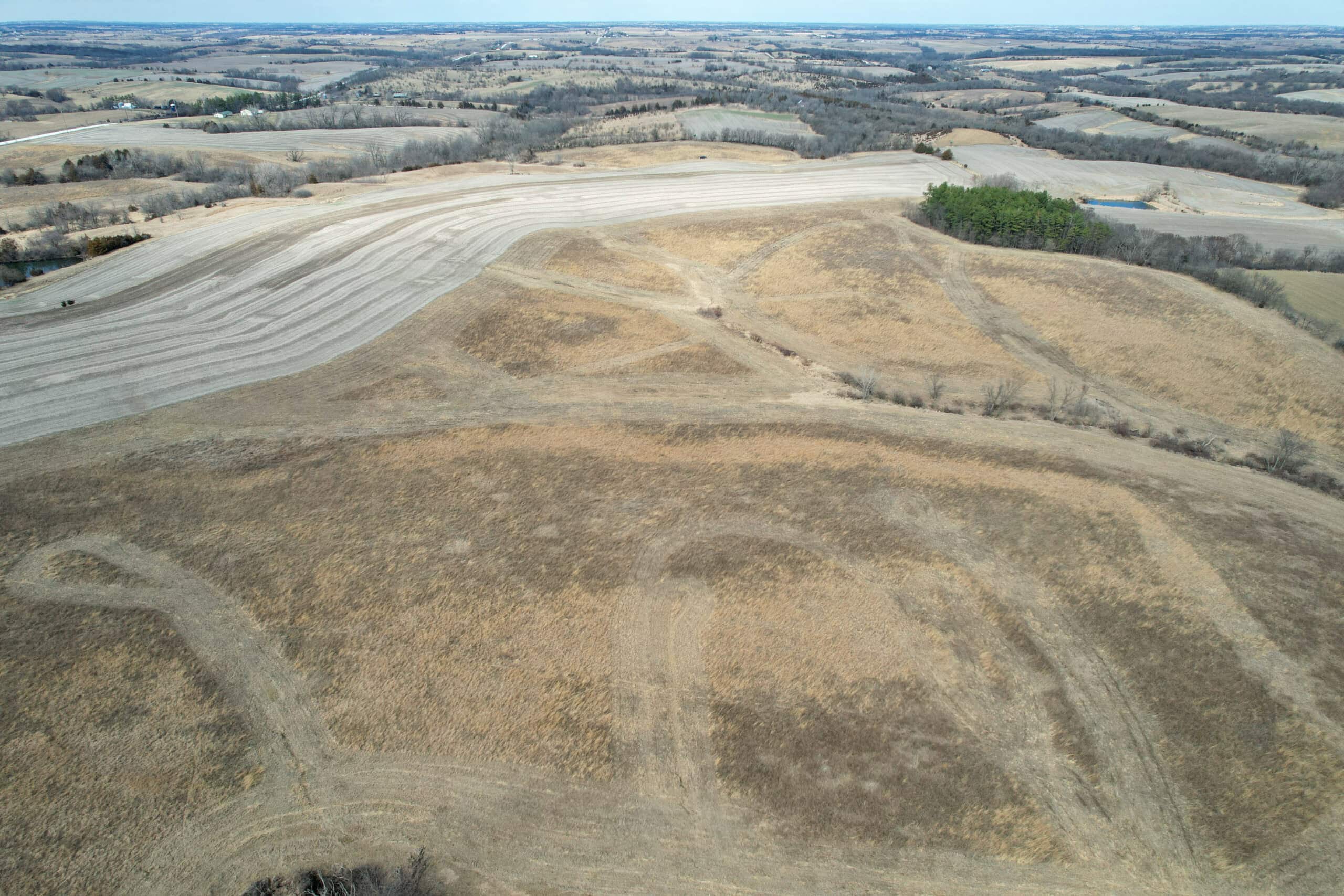 Clarke County 158 +/- Acres Hunting & Income Farm
