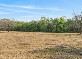 Peaceful 43± Acre Retreat Near Paris, TX