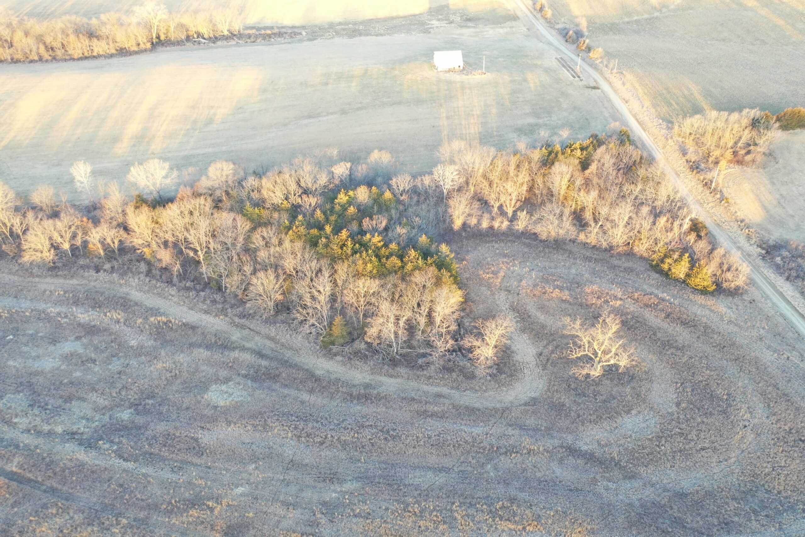 151 Acres m/l CRP/Hunting Farm