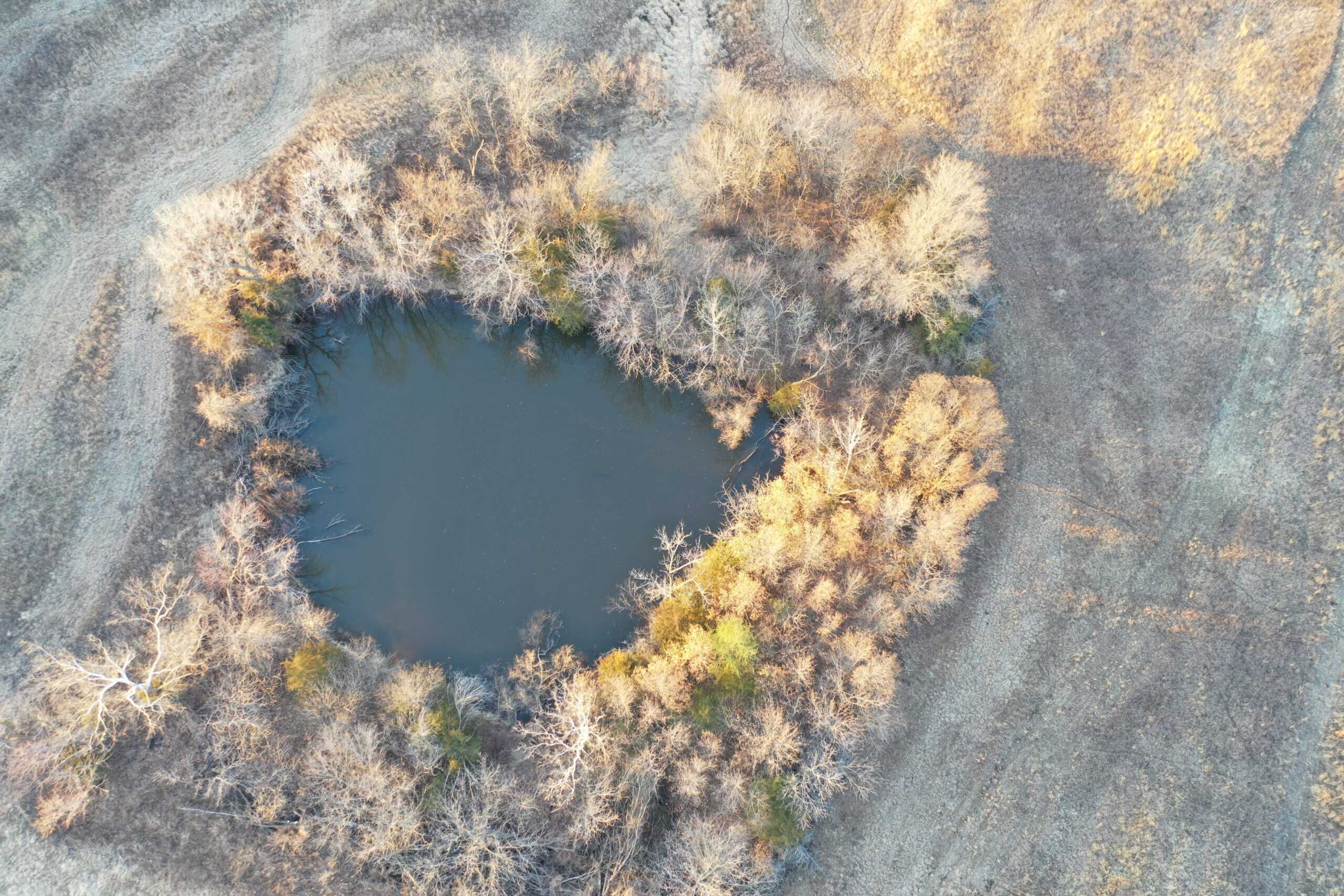 151 Acres m/l CRP/Hunting Farm