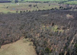 Future Build Site for Sale in Salem, Missouri