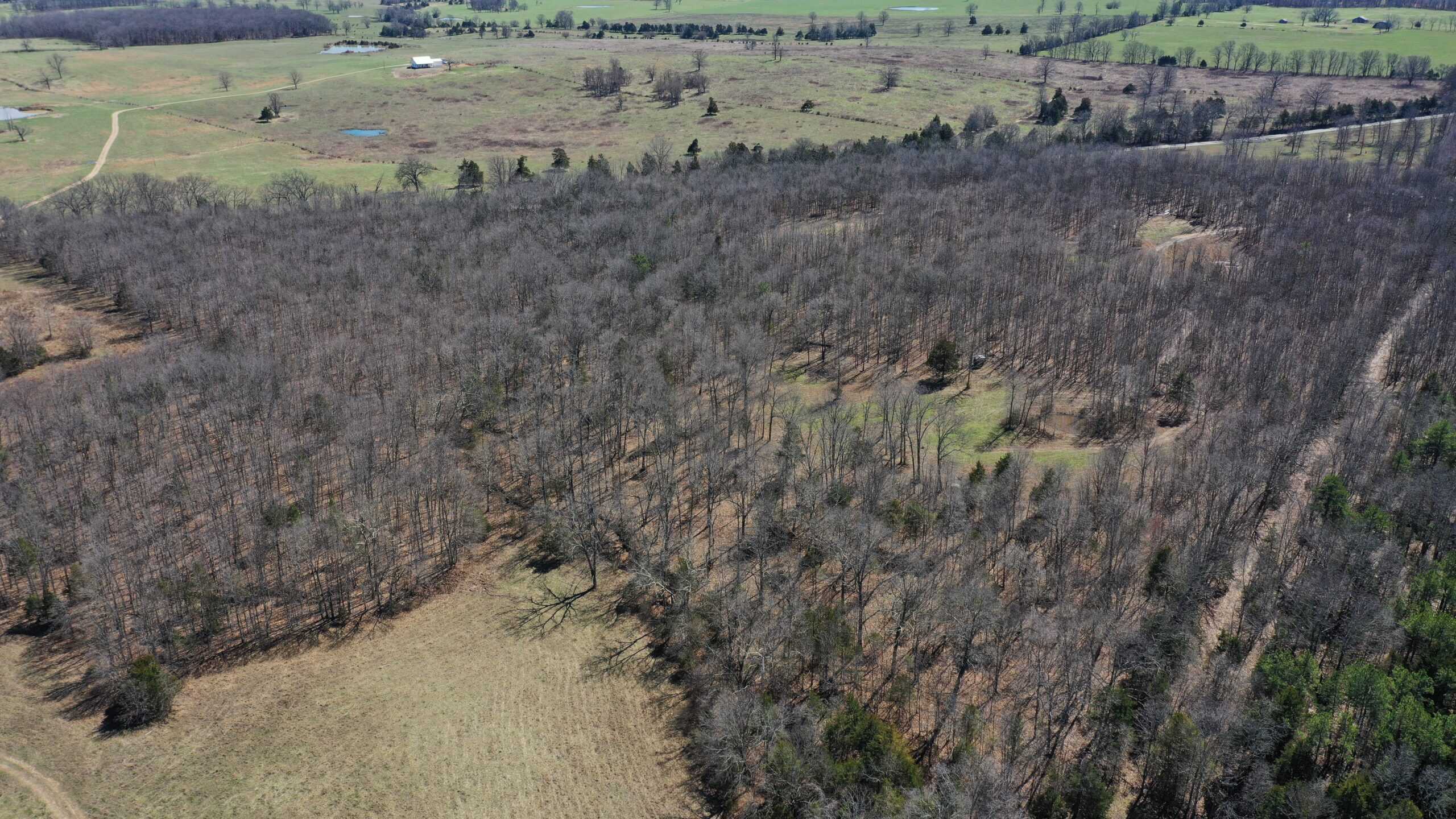 Future Build Site for Sale in Salem, Missouri
