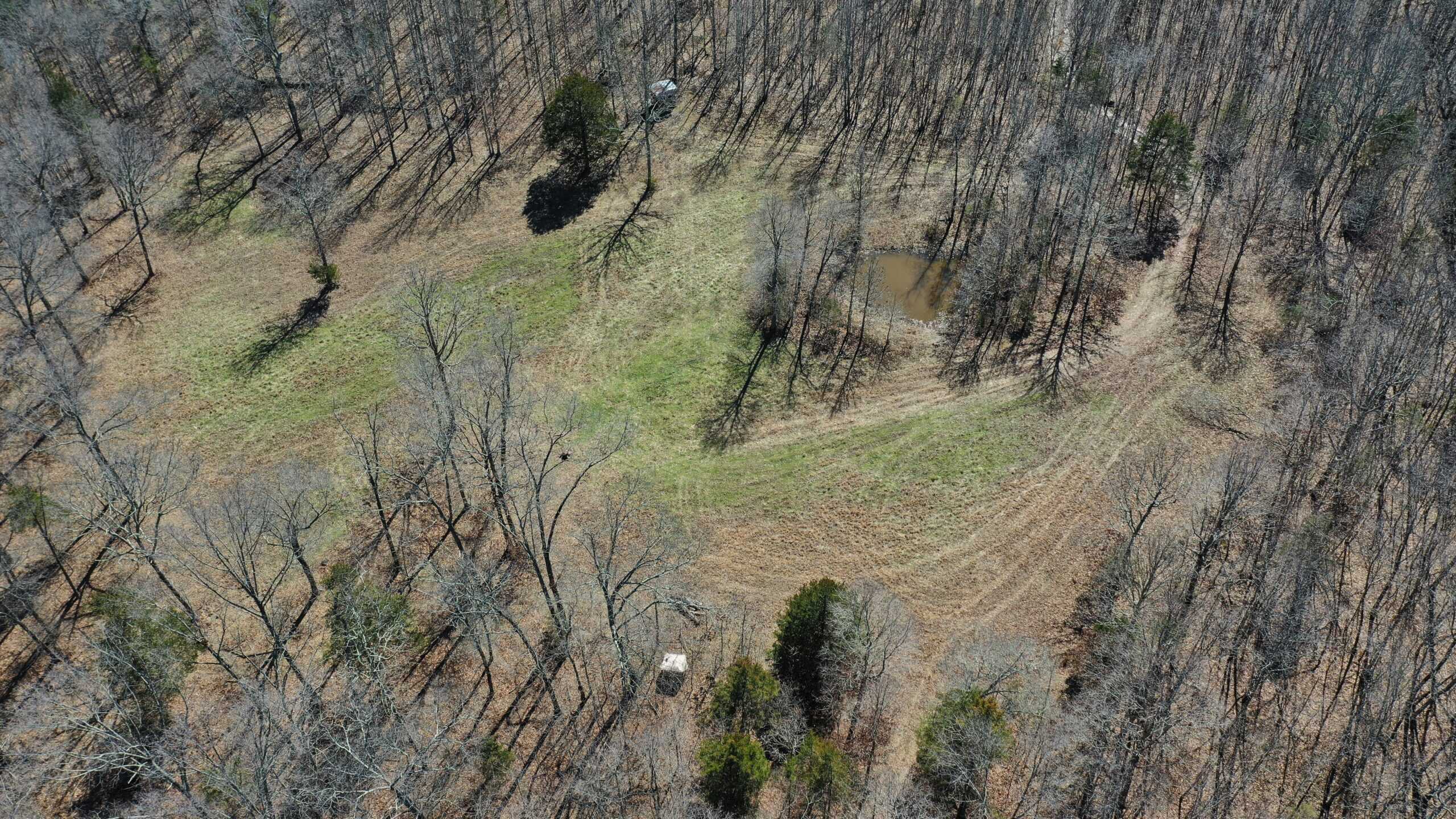 Future Build Site for Sale in Salem, Missouri