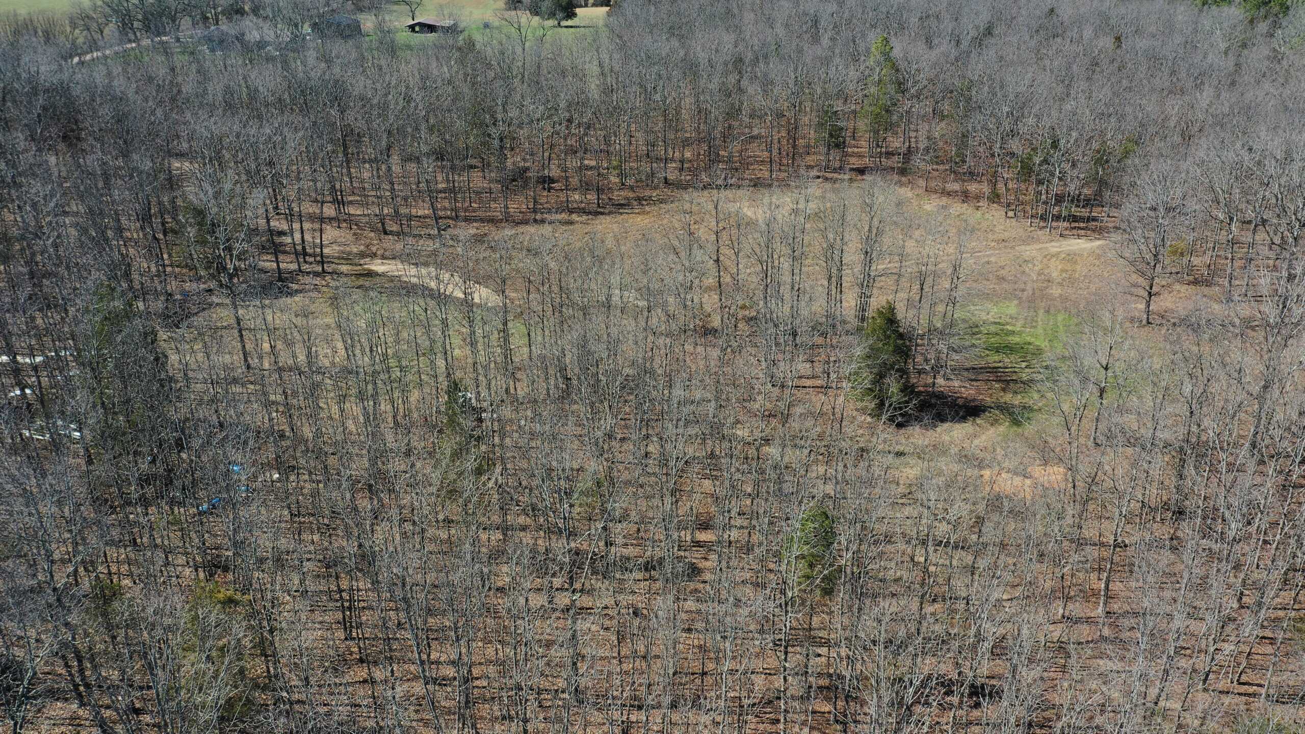 Future Build Site for Sale in Salem, Missouri