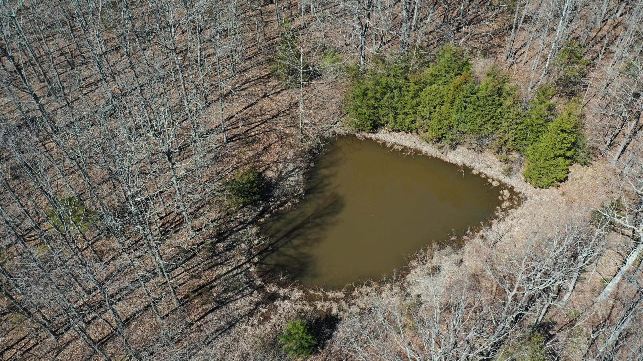 Future Build Site for Sale in Salem, Missouri