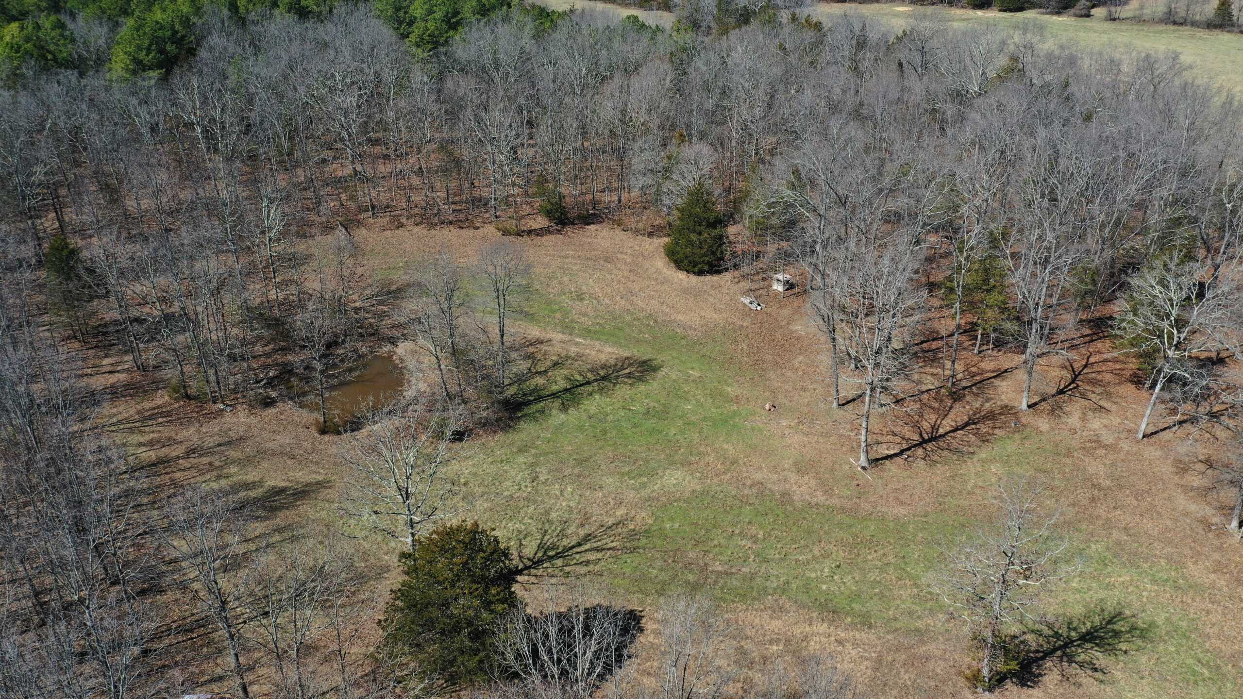 Future Build Site for Sale in Salem, Missouri