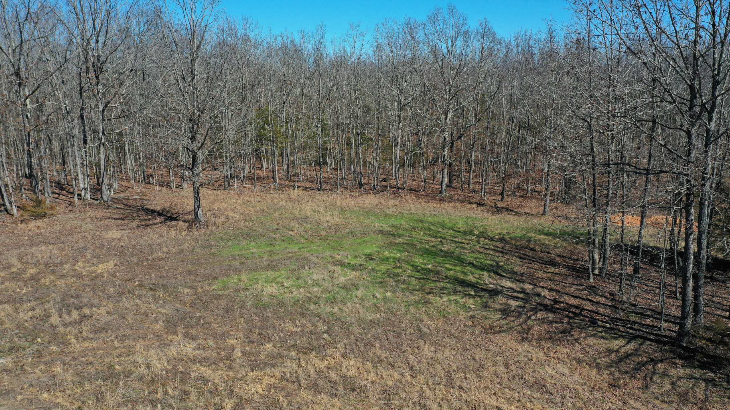 Future Build Site for Sale in Salem, Missouri
