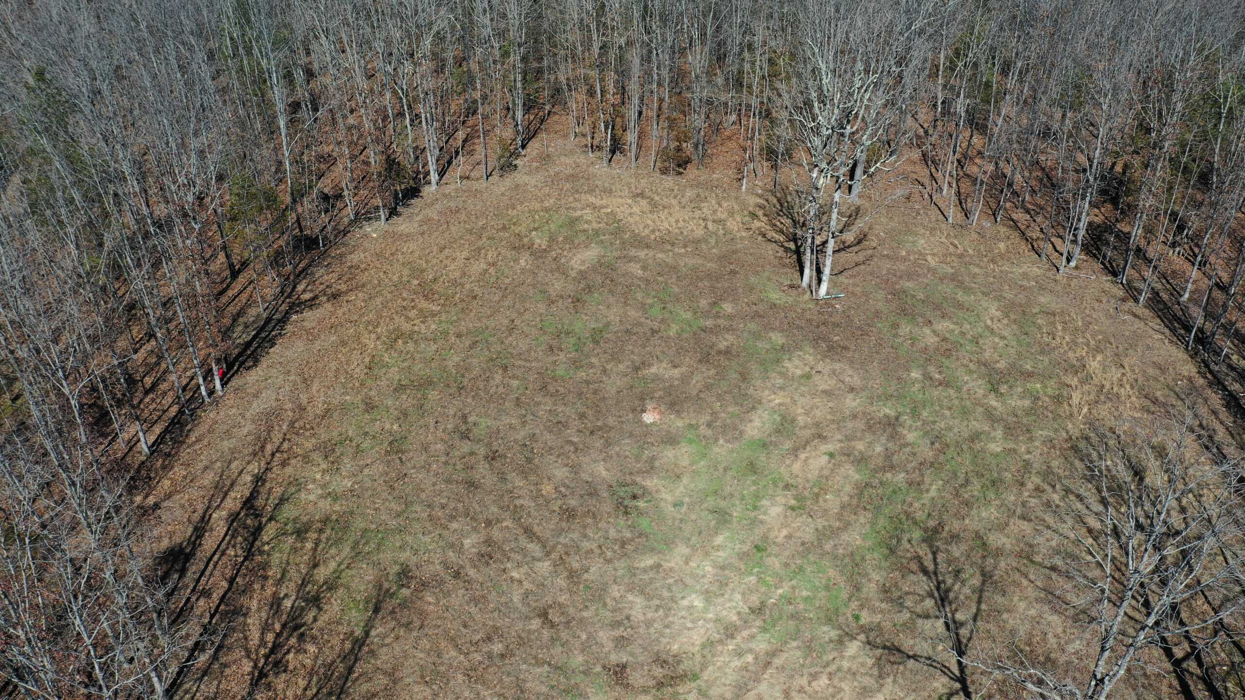 Future Build Site for Sale in Salem, Missouri