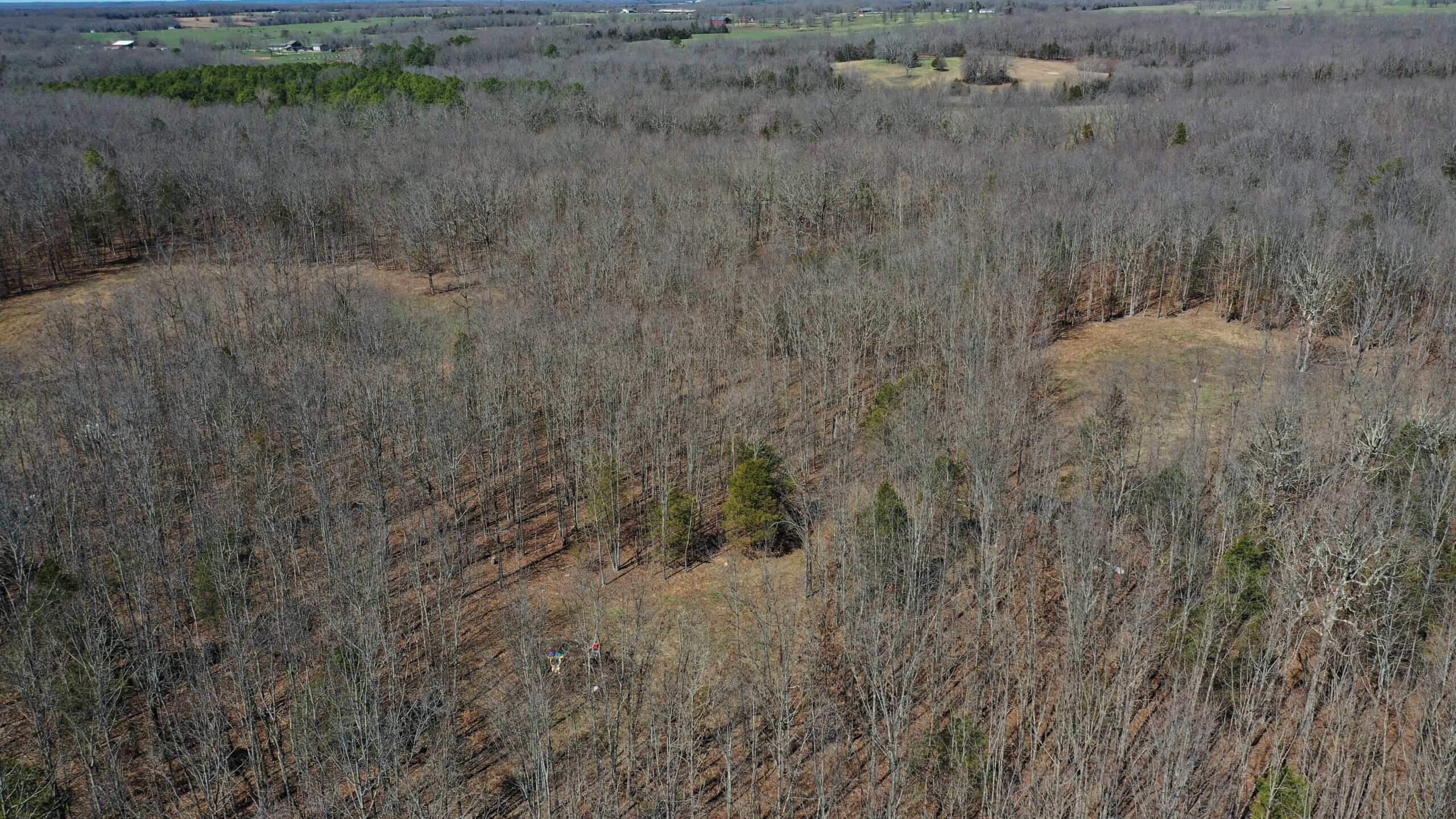 Future Build Site for Sale in Salem, Missouri