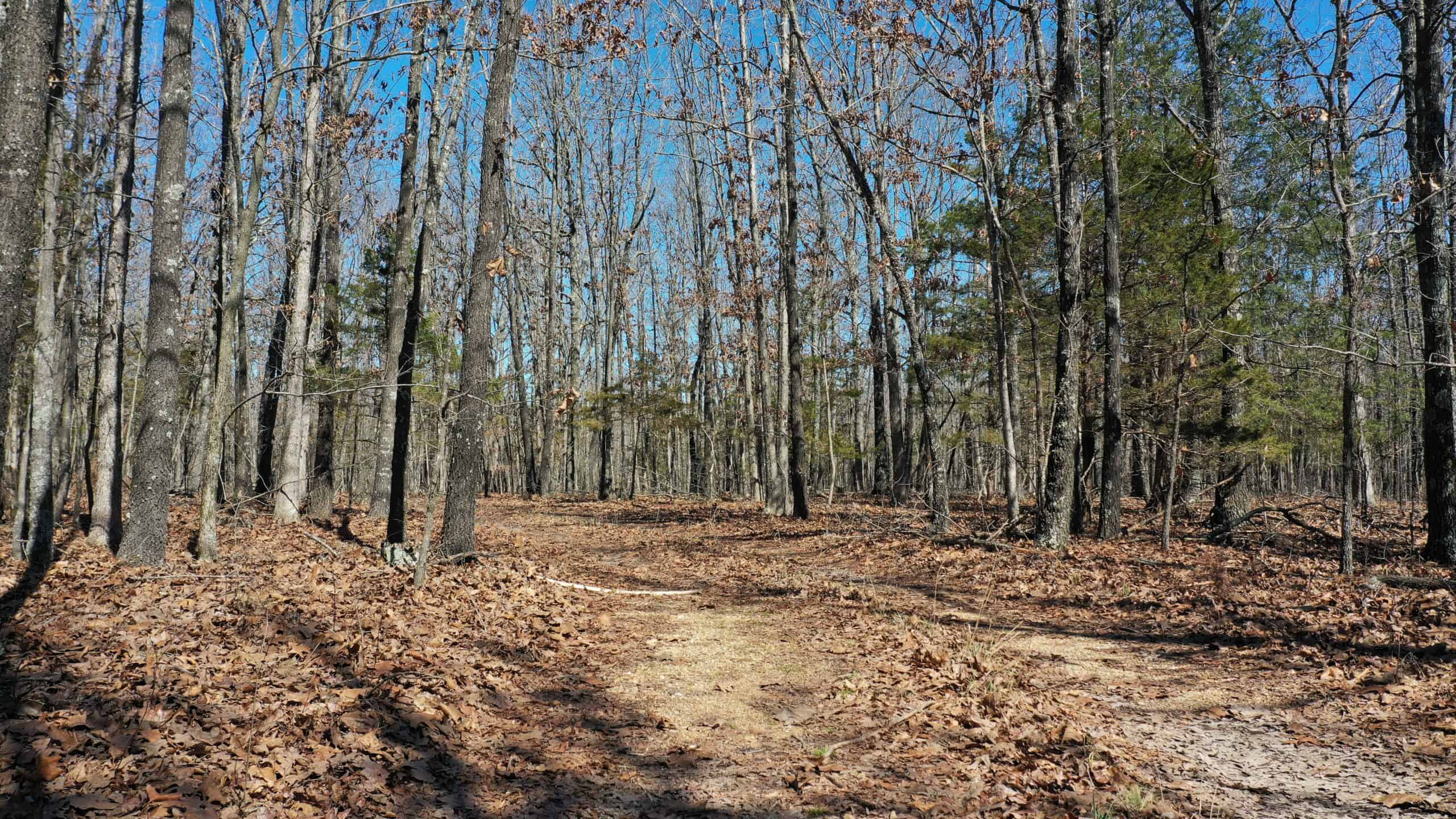 Future Build Site for Sale in Salem, Missouri