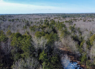 27.5 Acre Wooded Parcel – Brunswick, Maine