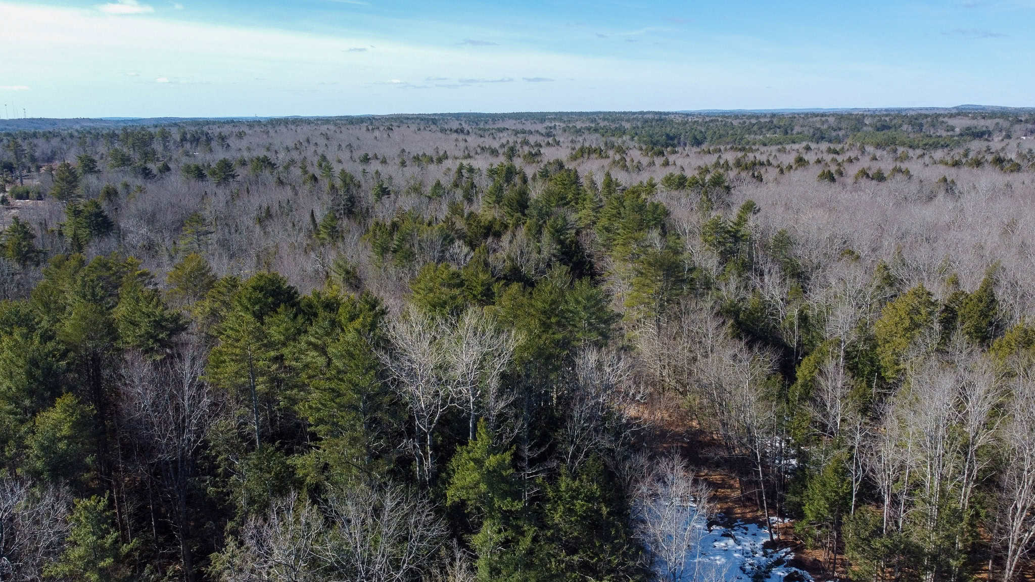 27.5 Acre Wooded Parcel – Brunswick, Maine