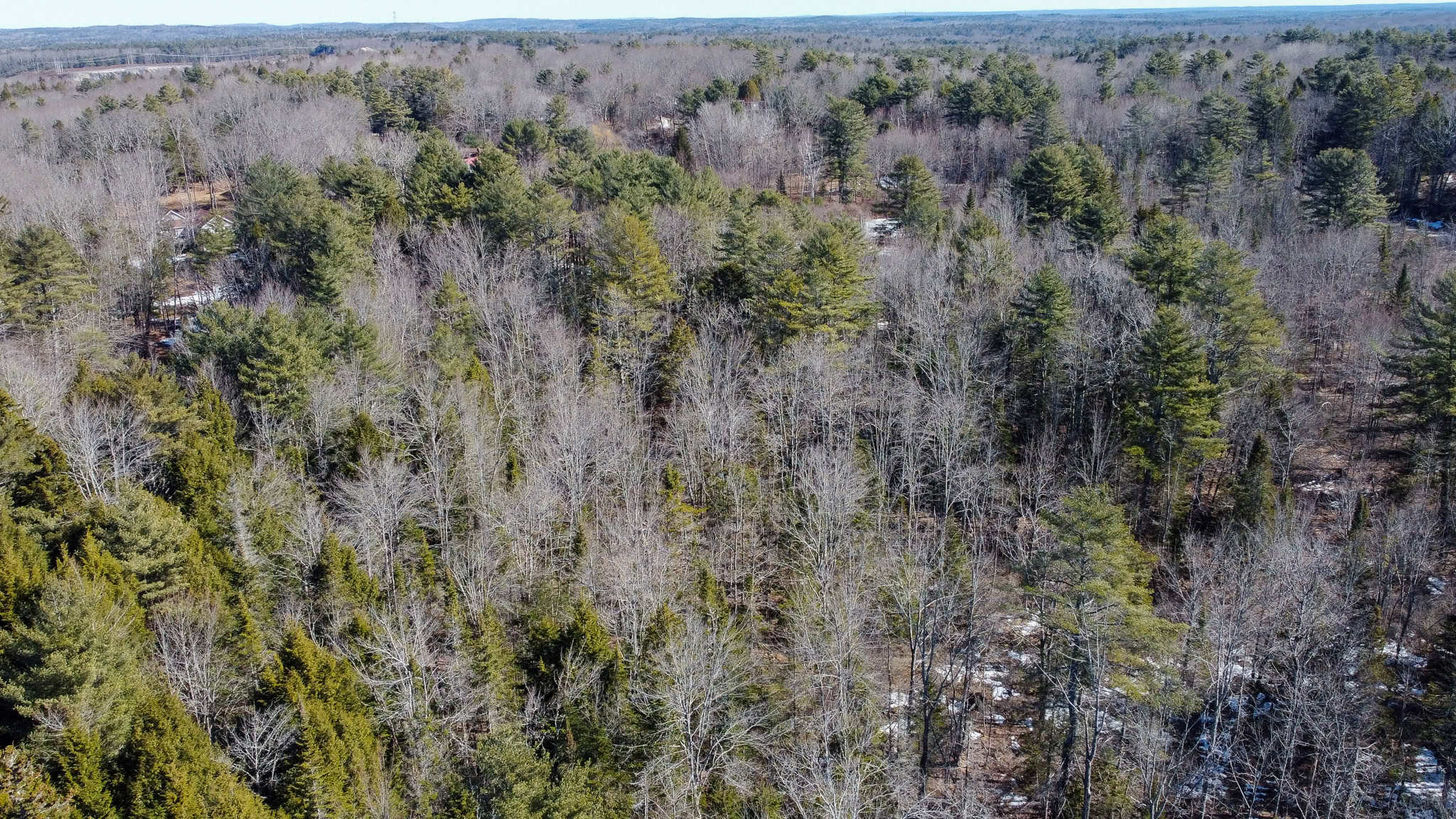 27.5 Acre Wooded Parcel – Brunswick, Maine