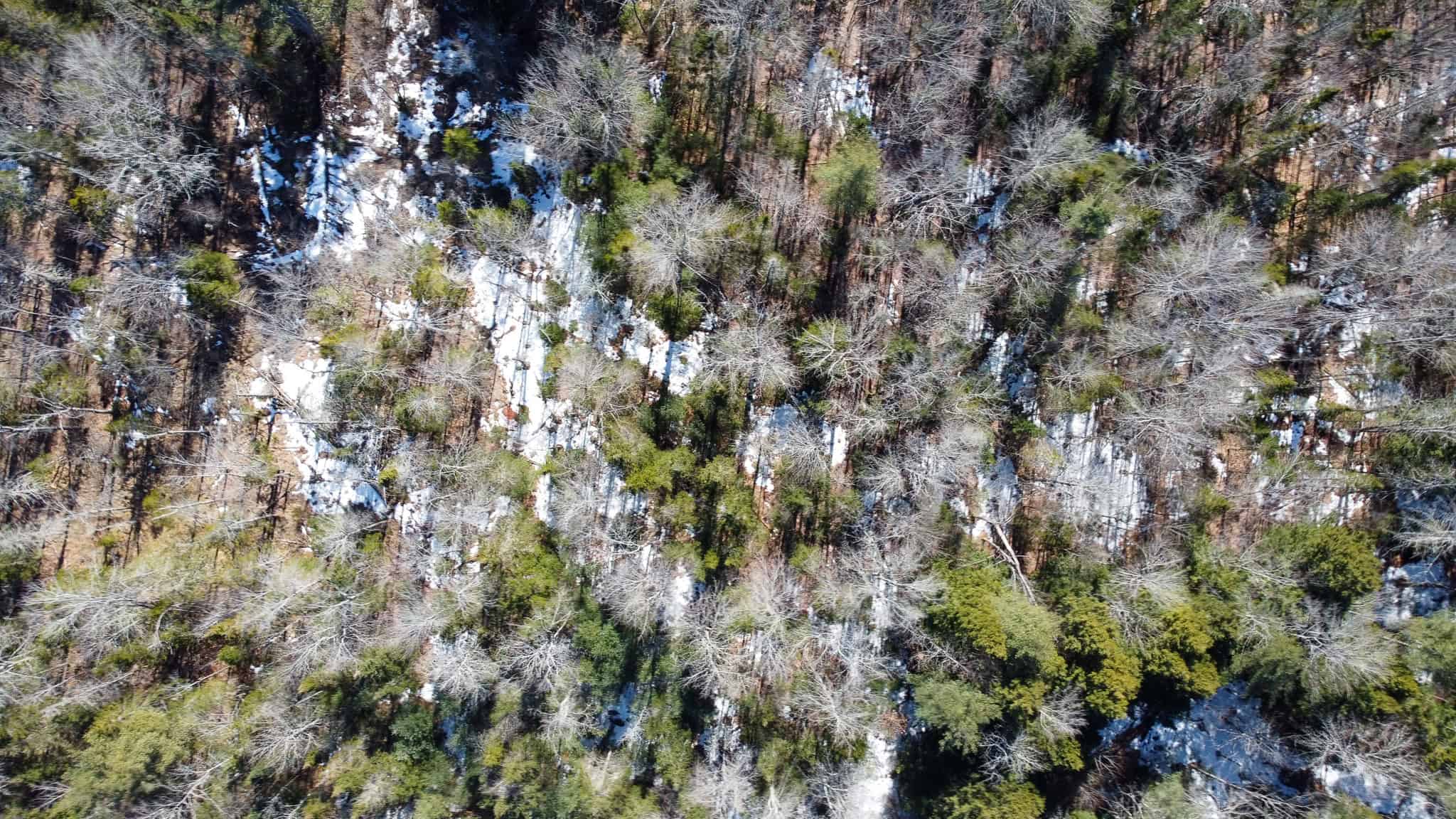 27.5 Acre Wooded Parcel – Brunswick, Maine