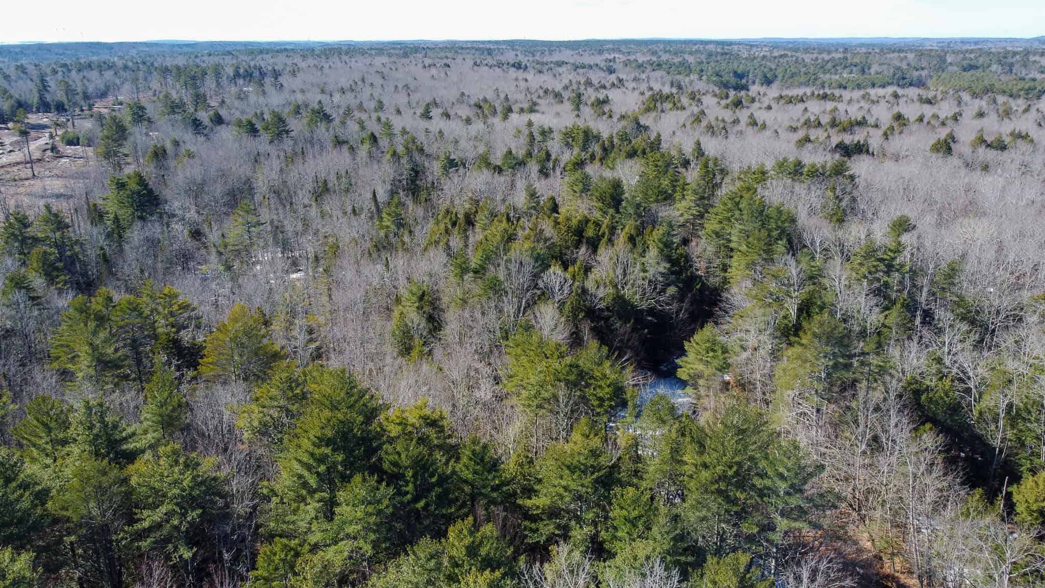 27.5 Acre Wooded Parcel – Brunswick, Maine