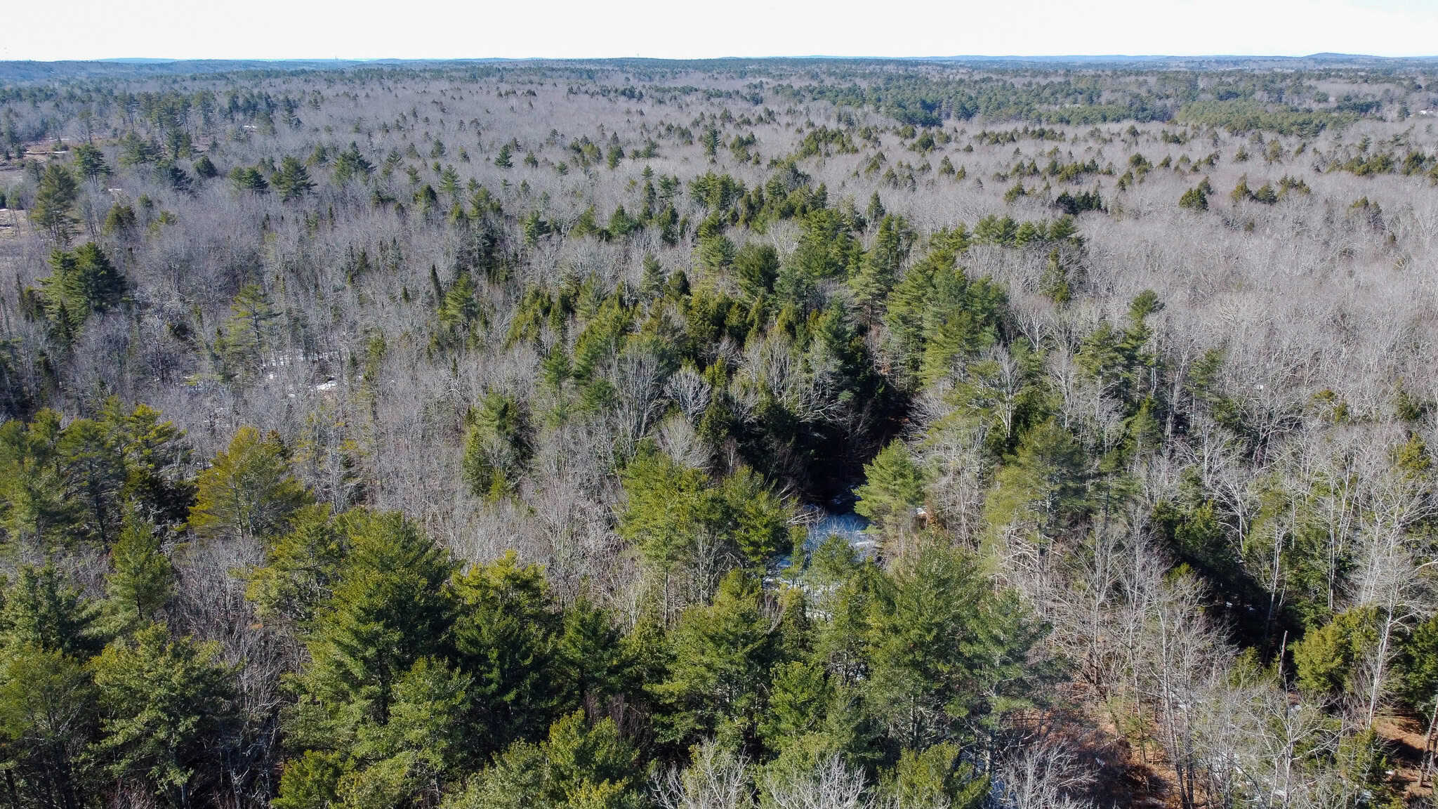 27.5 Acre Wooded Parcel – Brunswick, Maine