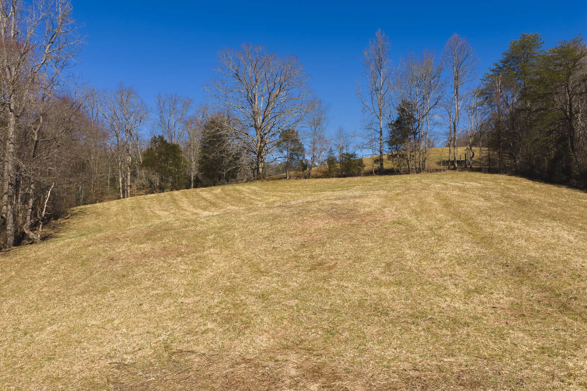 102.62 Unrestricted Acres with Farmhouse, Barn, Pond, Pasture, Timber, and East Tennessee Mountain Views in Hancock County