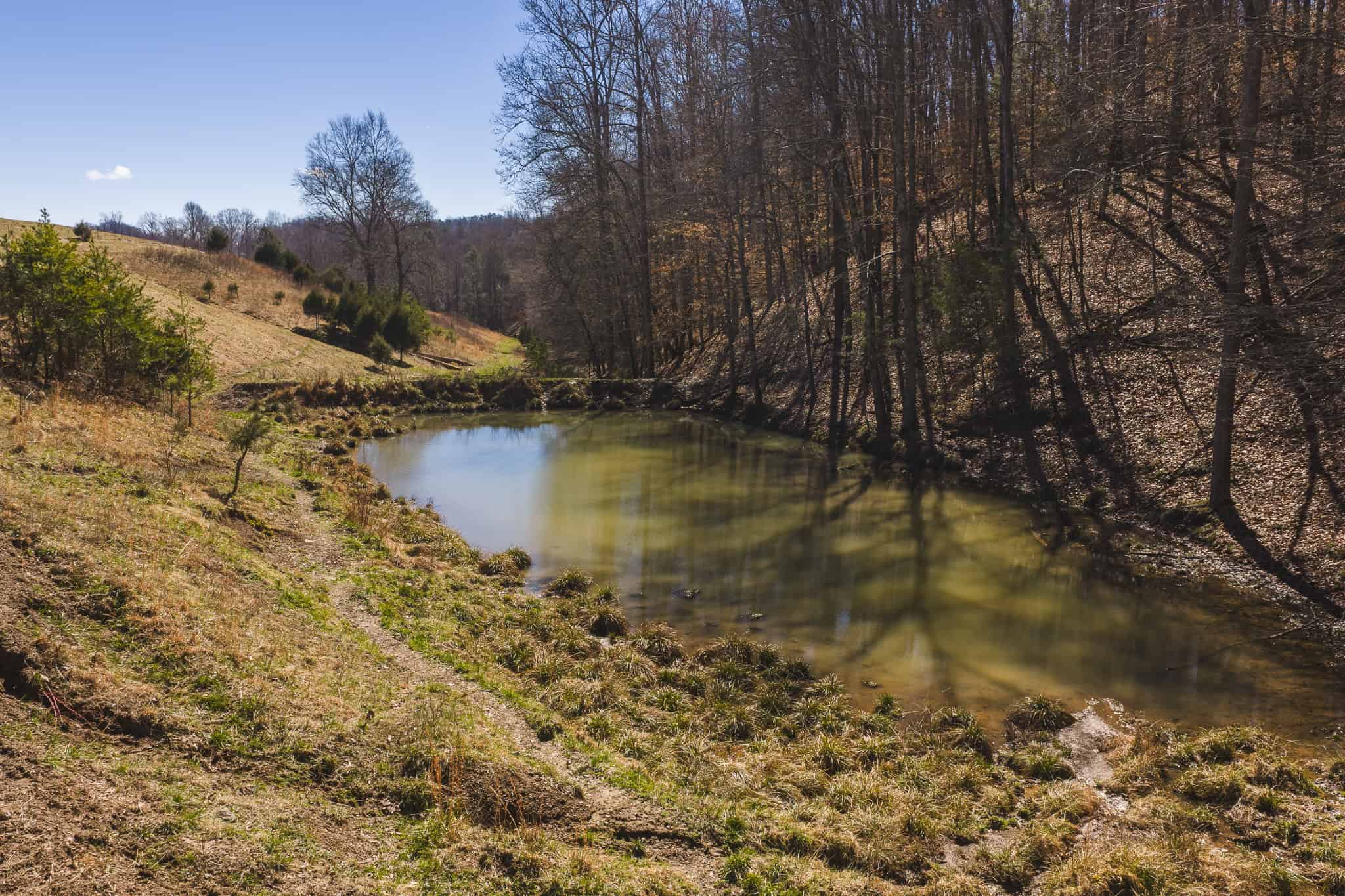 102.62 Unrestricted Acres with Farmhouse, Barn, Pond, Pasture, Timber, and East Tennessee Mountain Views in Hancock County