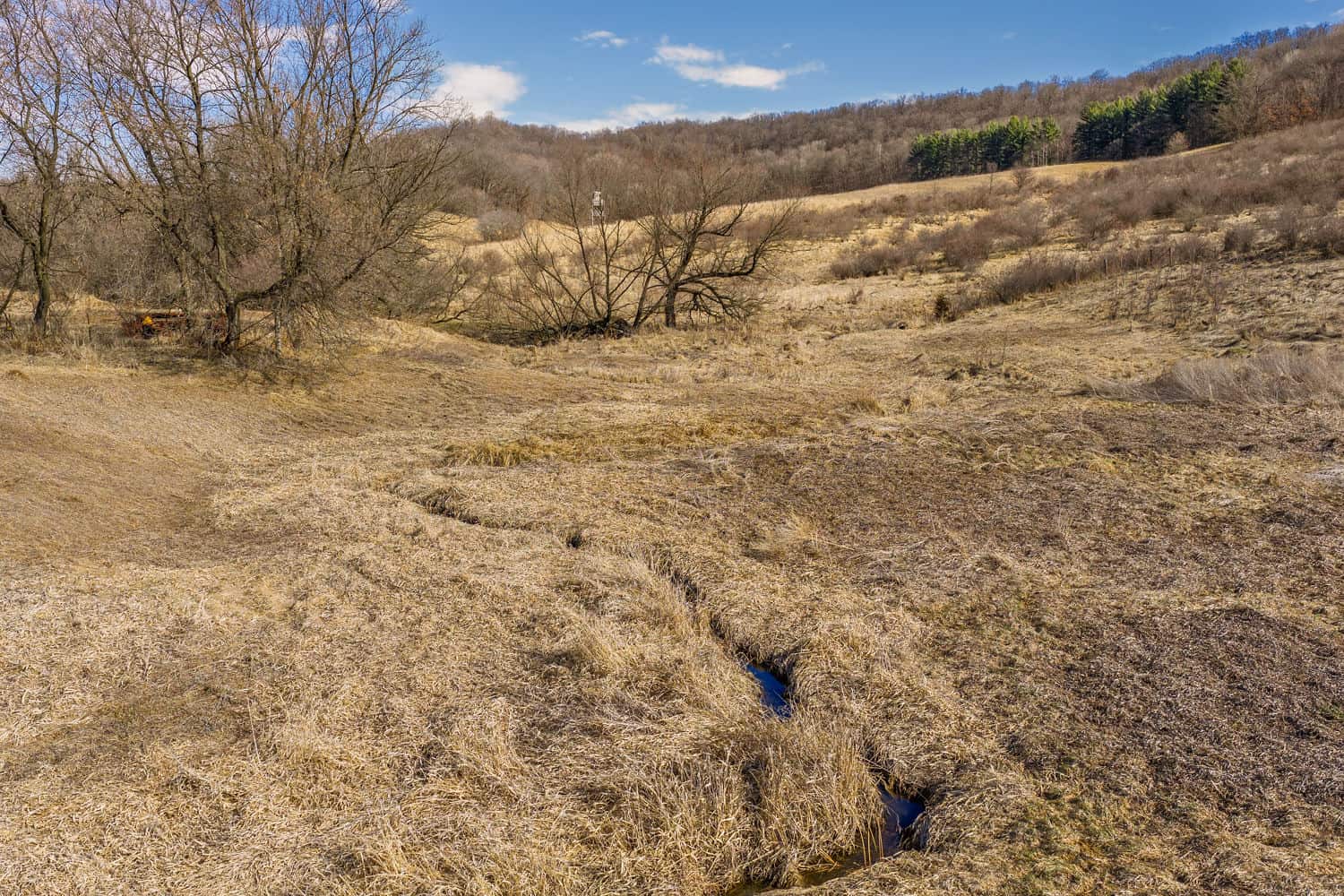 95± Acres Driftless Hunting & Recreational Land Richland County, Wisconsin