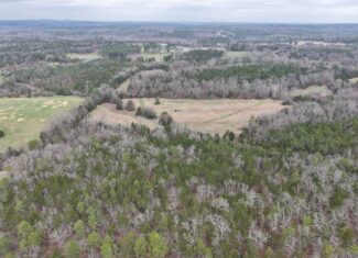 ARKANSAS HUNTING LAND FOR SALE IN NORTH CENTRAL ARKANSAS