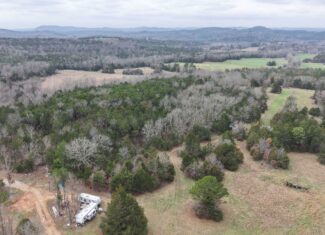 ARKANSAS HUNTING LAND FOR SALE IN NORTH CENTRAL ARKANSAS
