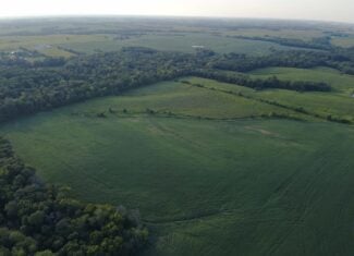 41 Acres m/l with CRP & Hunting